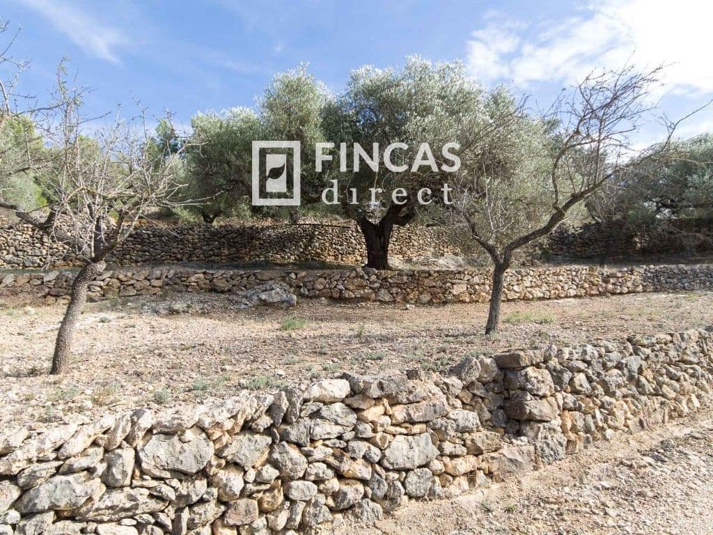 6 slaapkamer Villa te koop in Tortosa met zwembad garage - € 450.000 (Ref: 8449203)