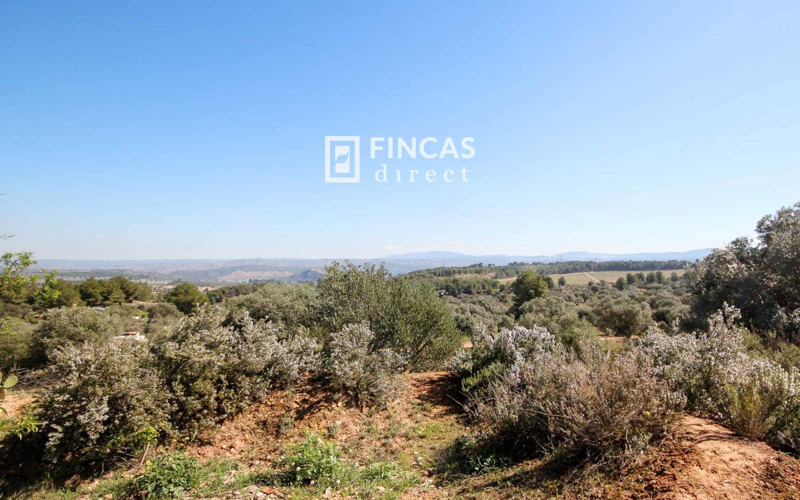 3 Zimmer Finca/Landgut zu verkaufen in Flix mit Pool - 149.000 € (Ref: 8451551)