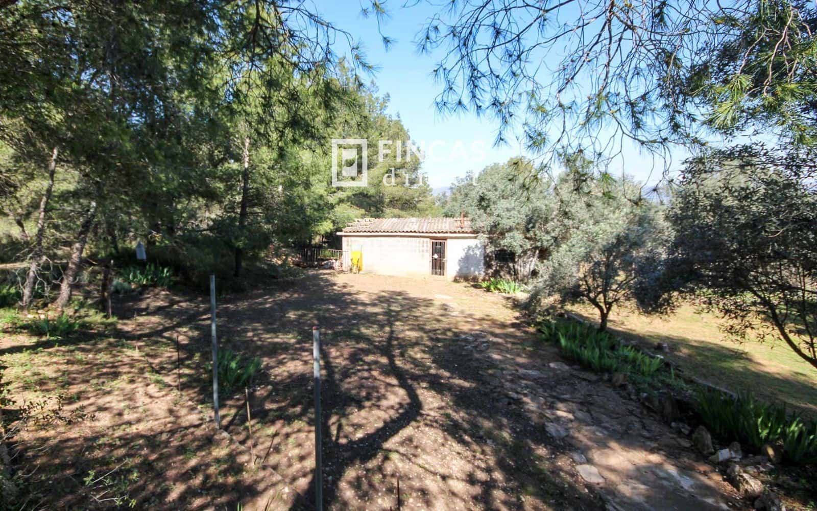 3 Zimmer Finca/Landgut zu verkaufen in Flix mit Pool - 149.000 € (Ref: 8451551)