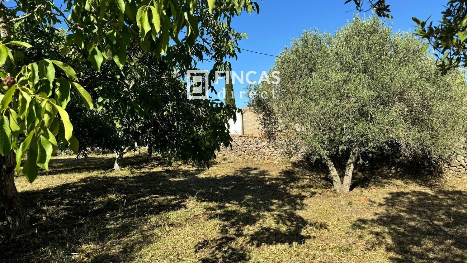 6 sypialnia Willa na sprzedaż w Albinyana z garażem - 265 000 € (Ref: 8775820)