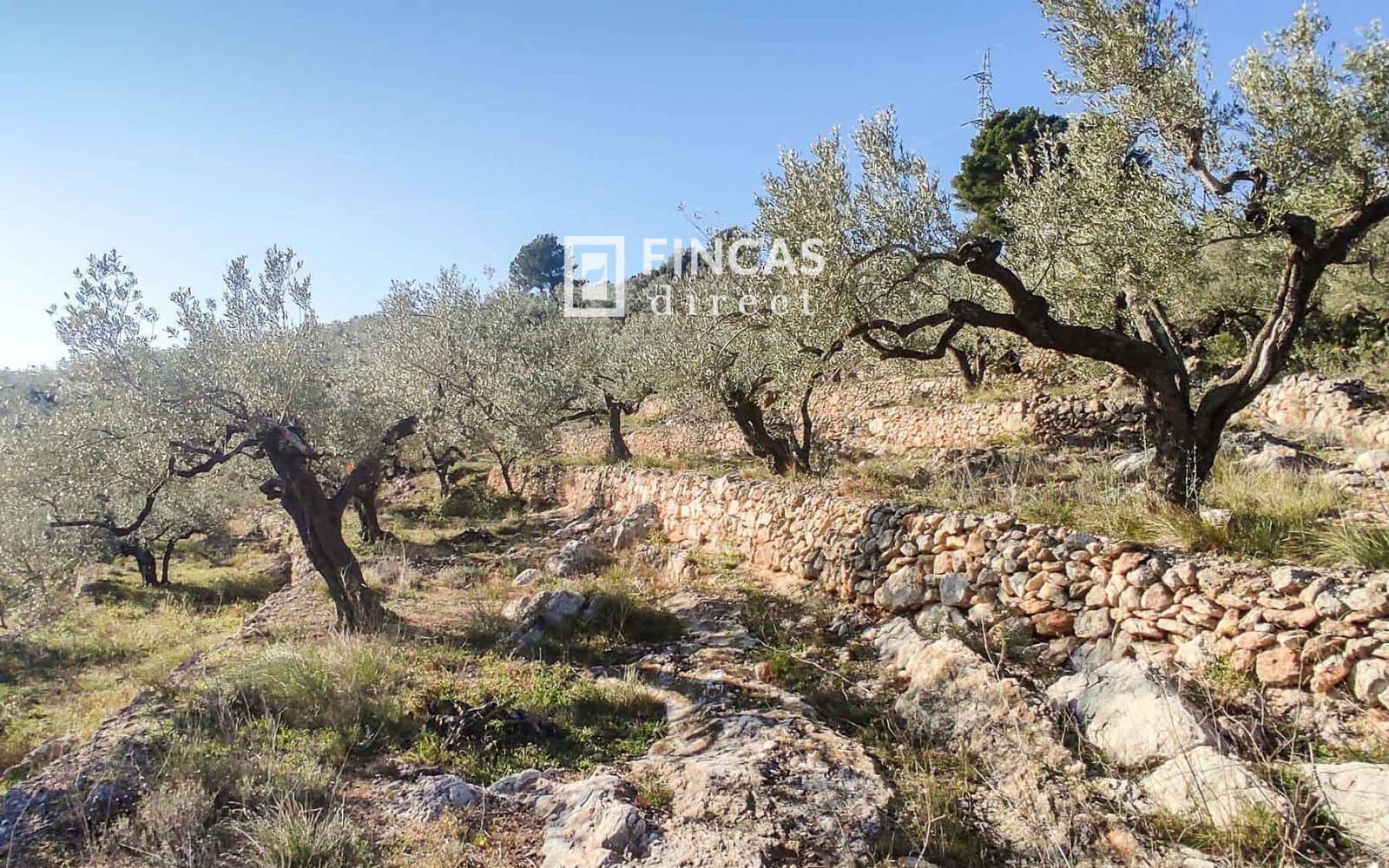 4 soverom Villa til salgs i Tortosa - € 185 000 (Ref: 8785837)