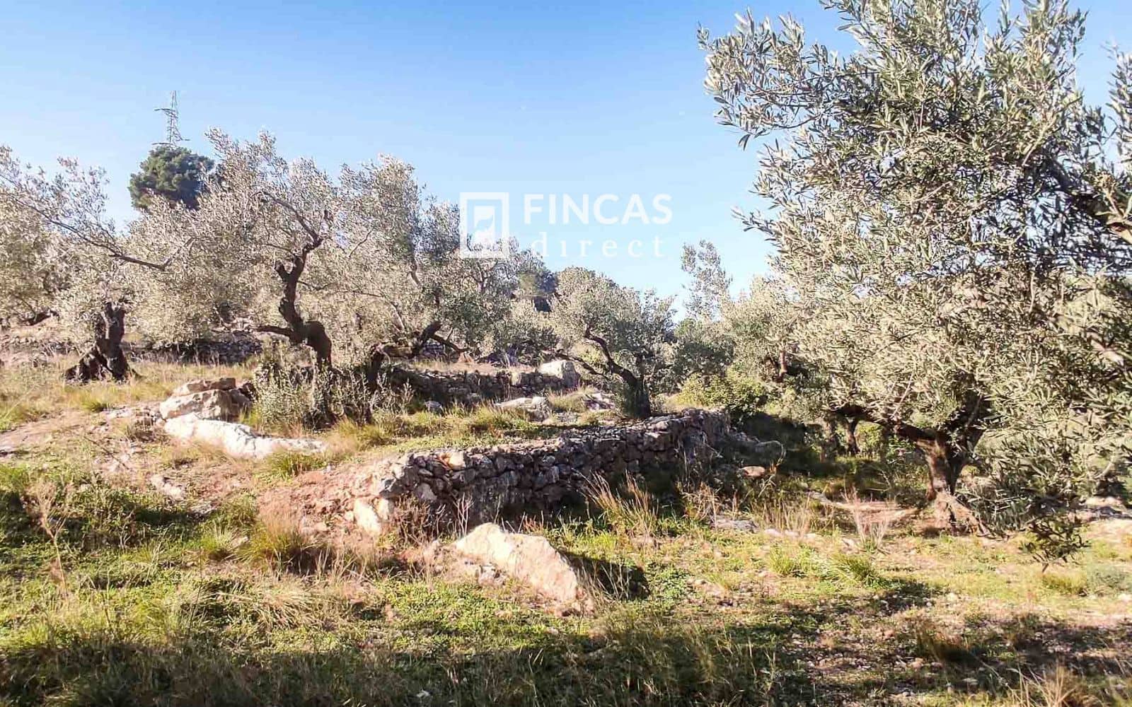 4 soverom Villa til salgs i Tortosa - € 185 000 (Ref: 8785837)