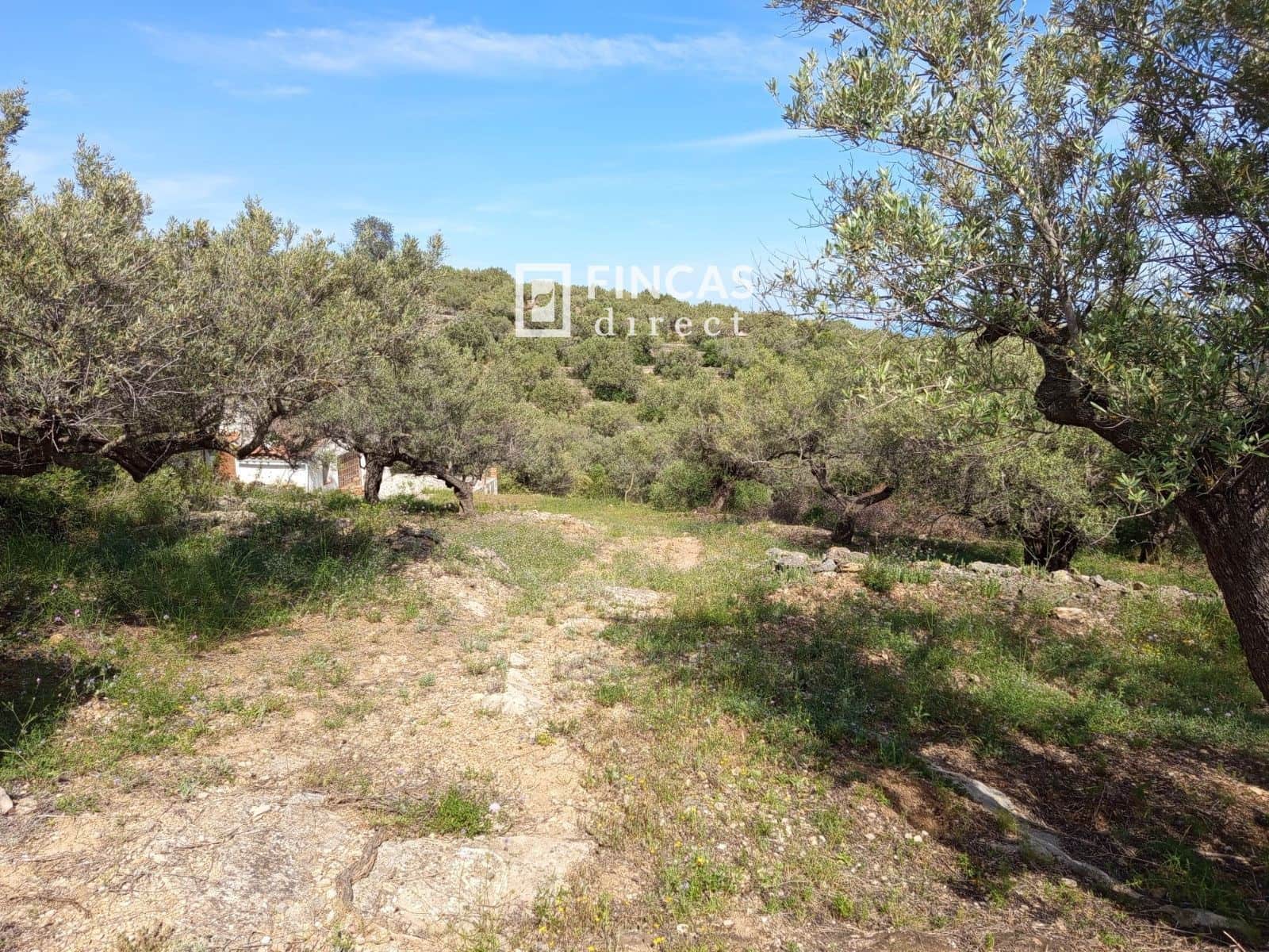2 bedroom Finca/Country House for sale in Tortosa - € 148,500 (Ref: 9027057)