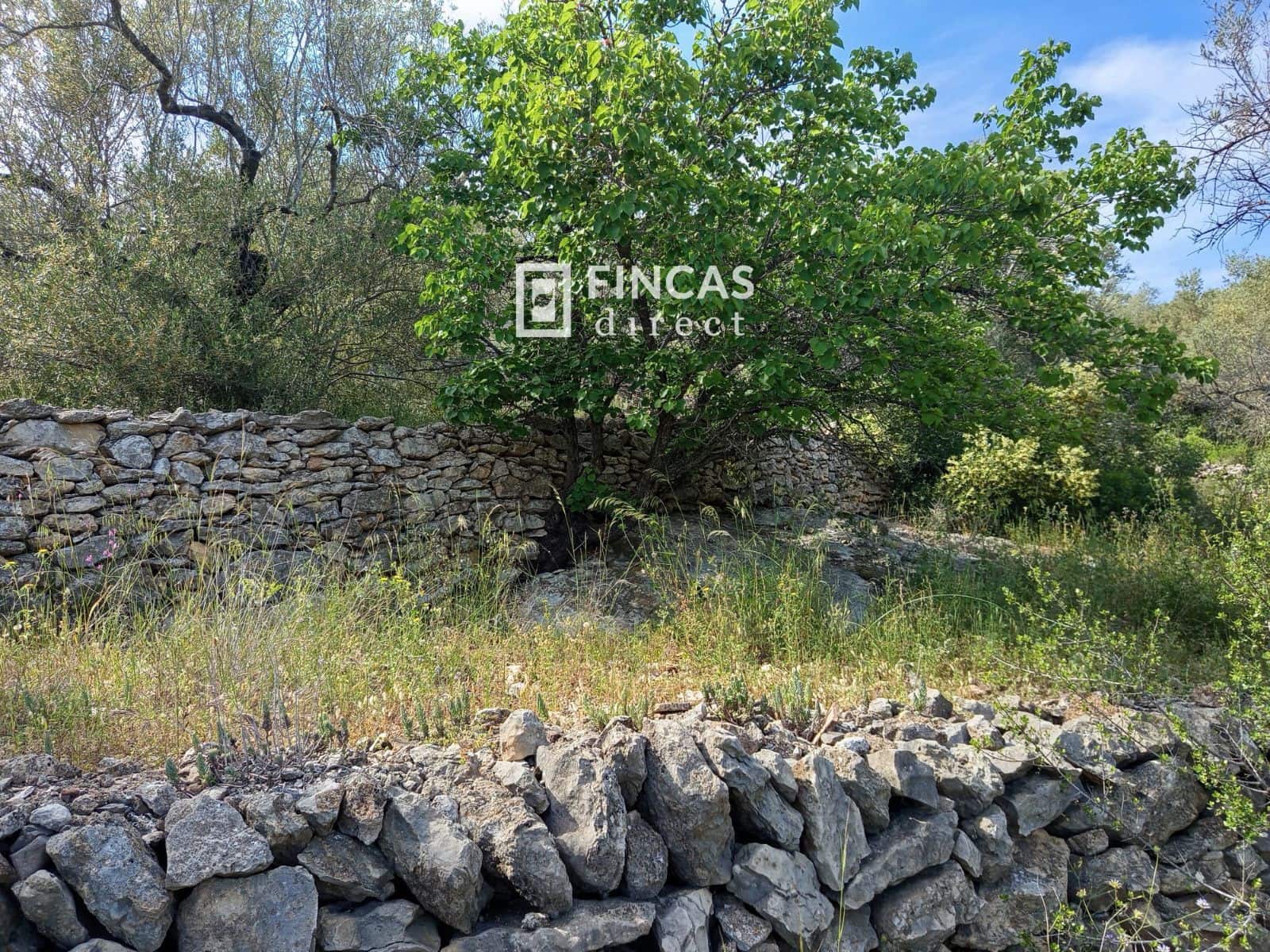 2 bedroom Finca/Country House for sale in Tortosa - € 148,500 (Ref: 9027057)