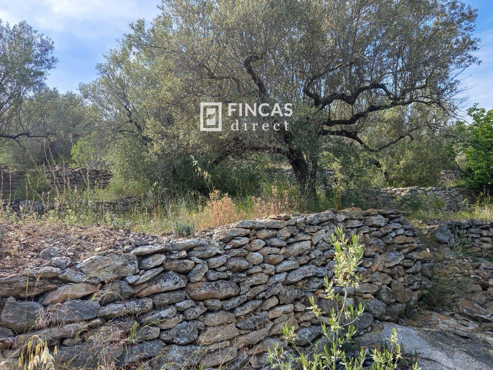 2 bedroom Finca/Country House for sale in Tortosa - € 148,500 (Ref: 9027057)