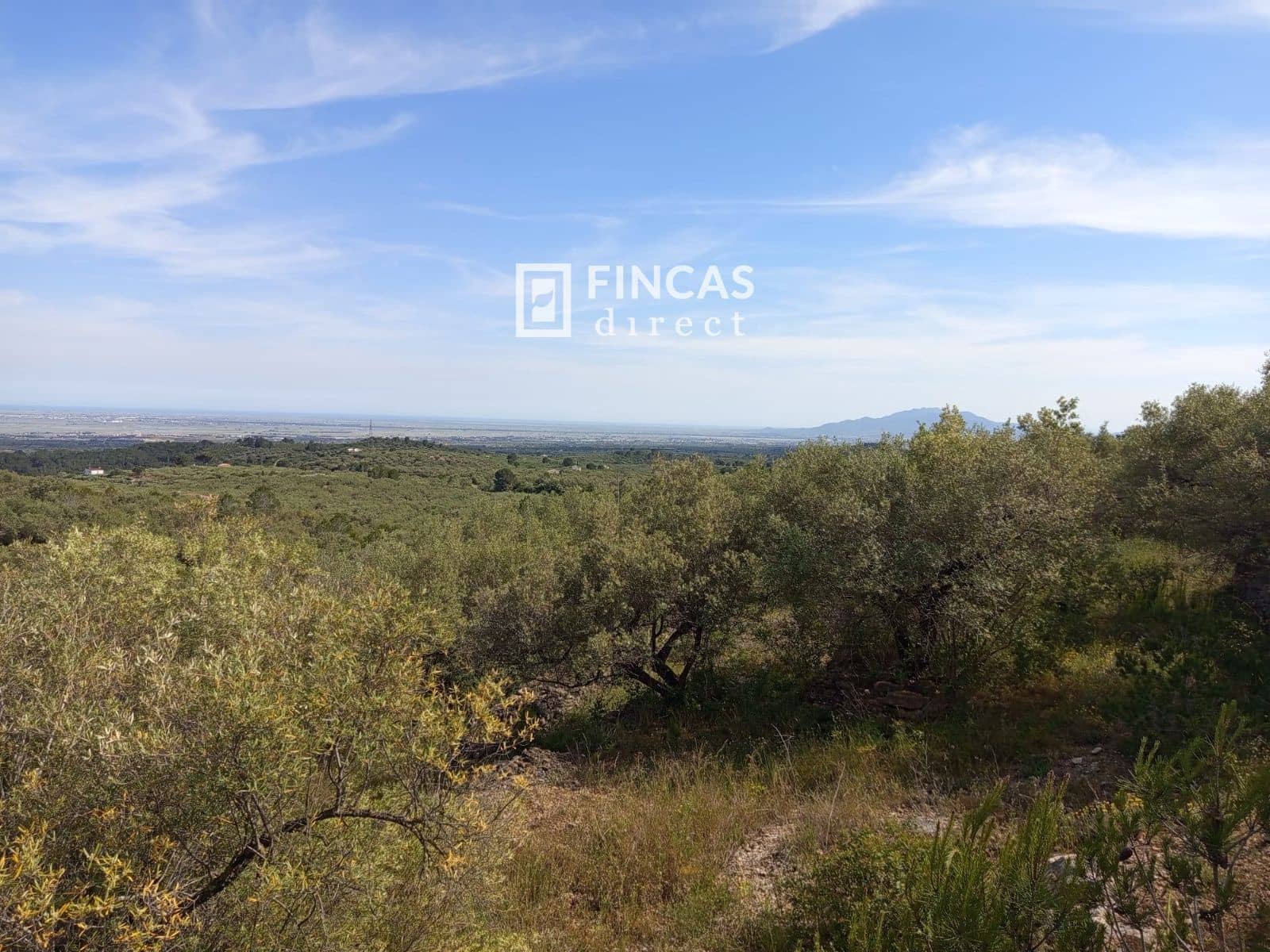 2 bedroom Finca/Country House for sale in Tortosa - € 148,500 (Ref: 9027057)