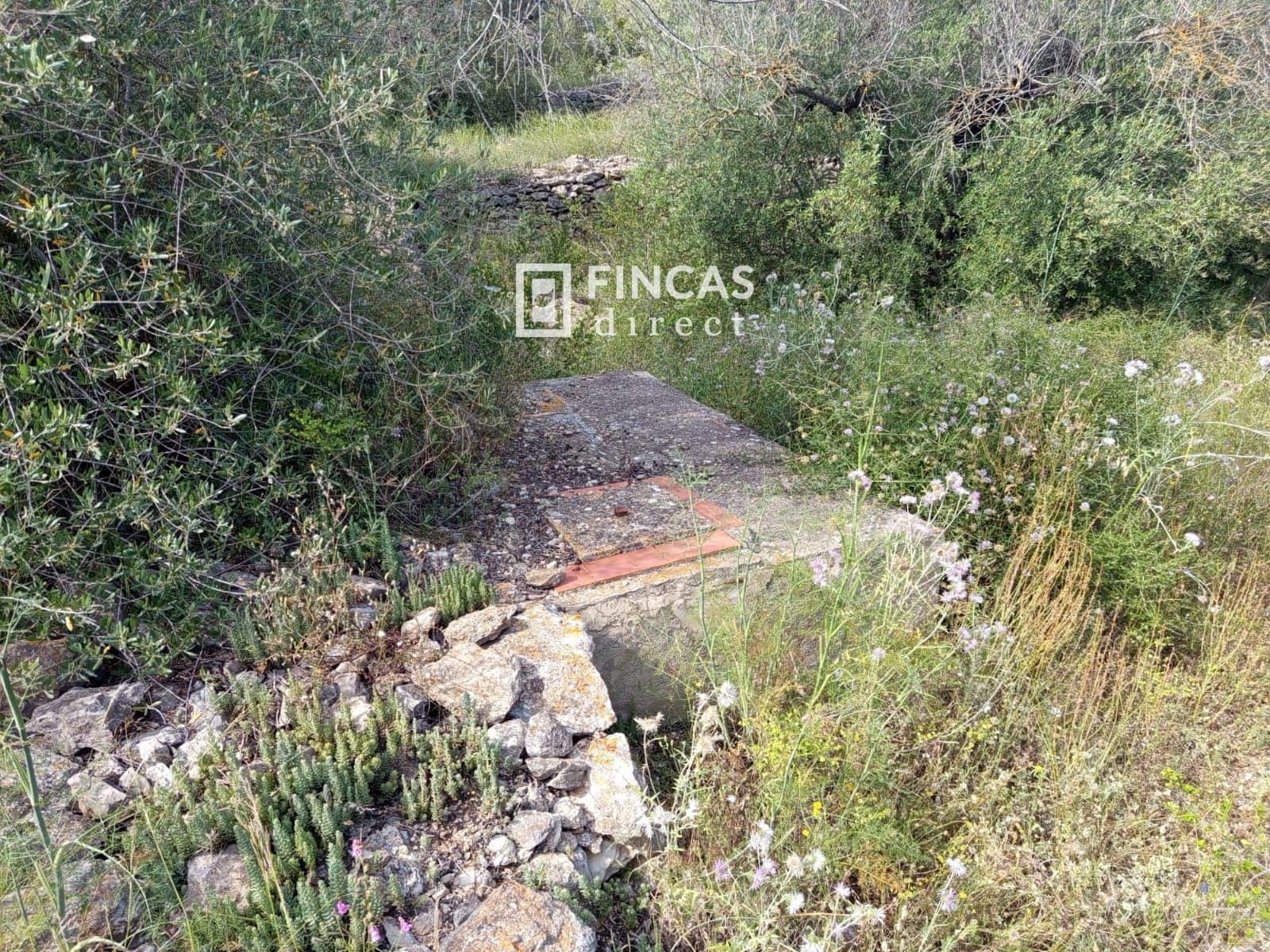 2 bedroom Finca/Country House for sale in Tortosa - € 148,500 (Ref: 9027057)