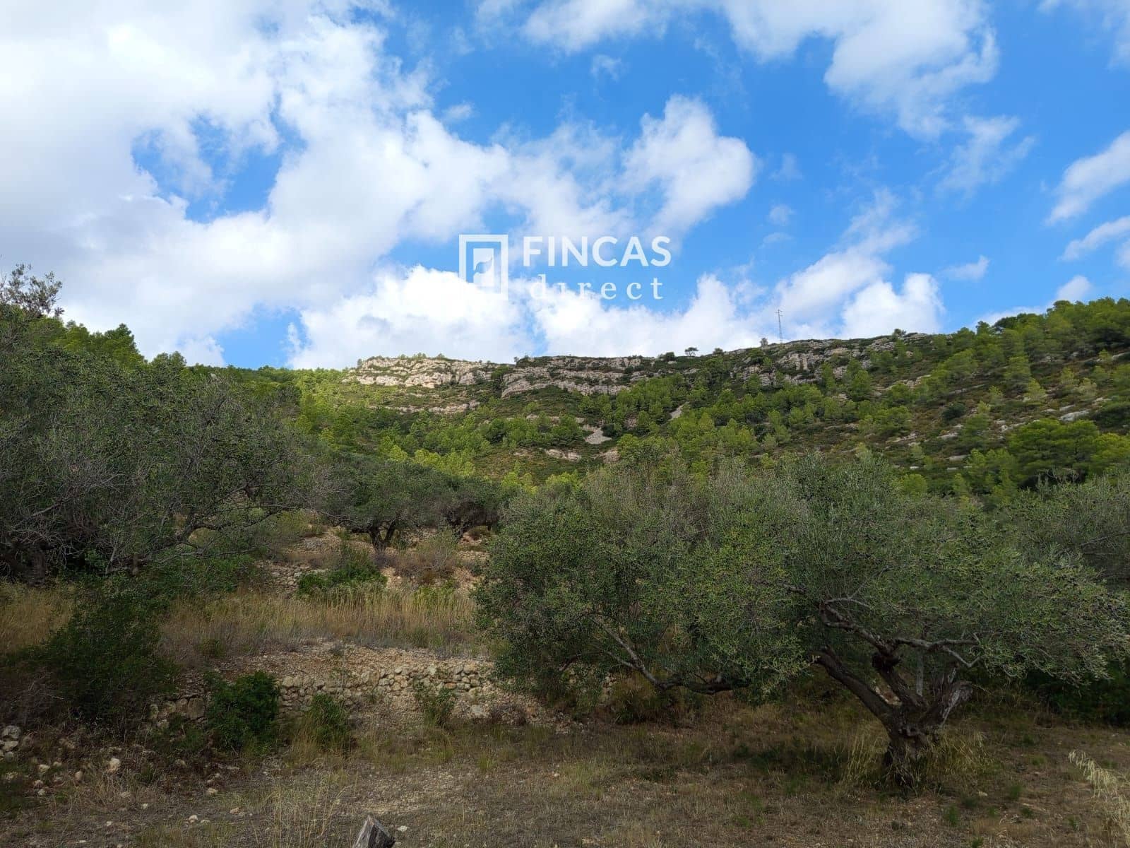 2 soveværelse Villa til salg i El Perello - € 339.000 (Ref: 9295918)