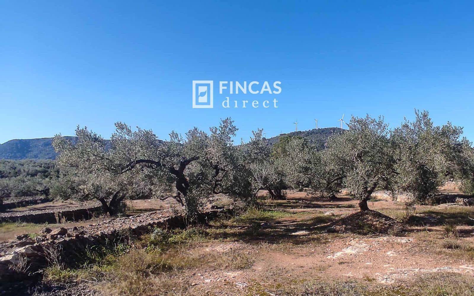 3 quarto Moradia para venda em Tortosa - 179 000 € (Ref: 9357595)