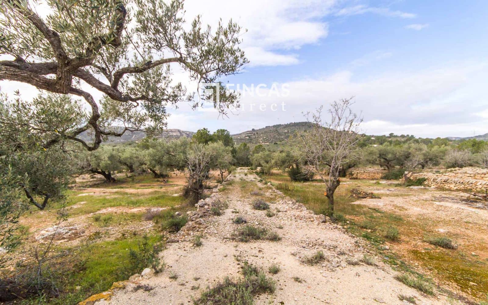 3 quarto Moradia para venda em Tortosa - 179 000 € (Ref: 9357595)