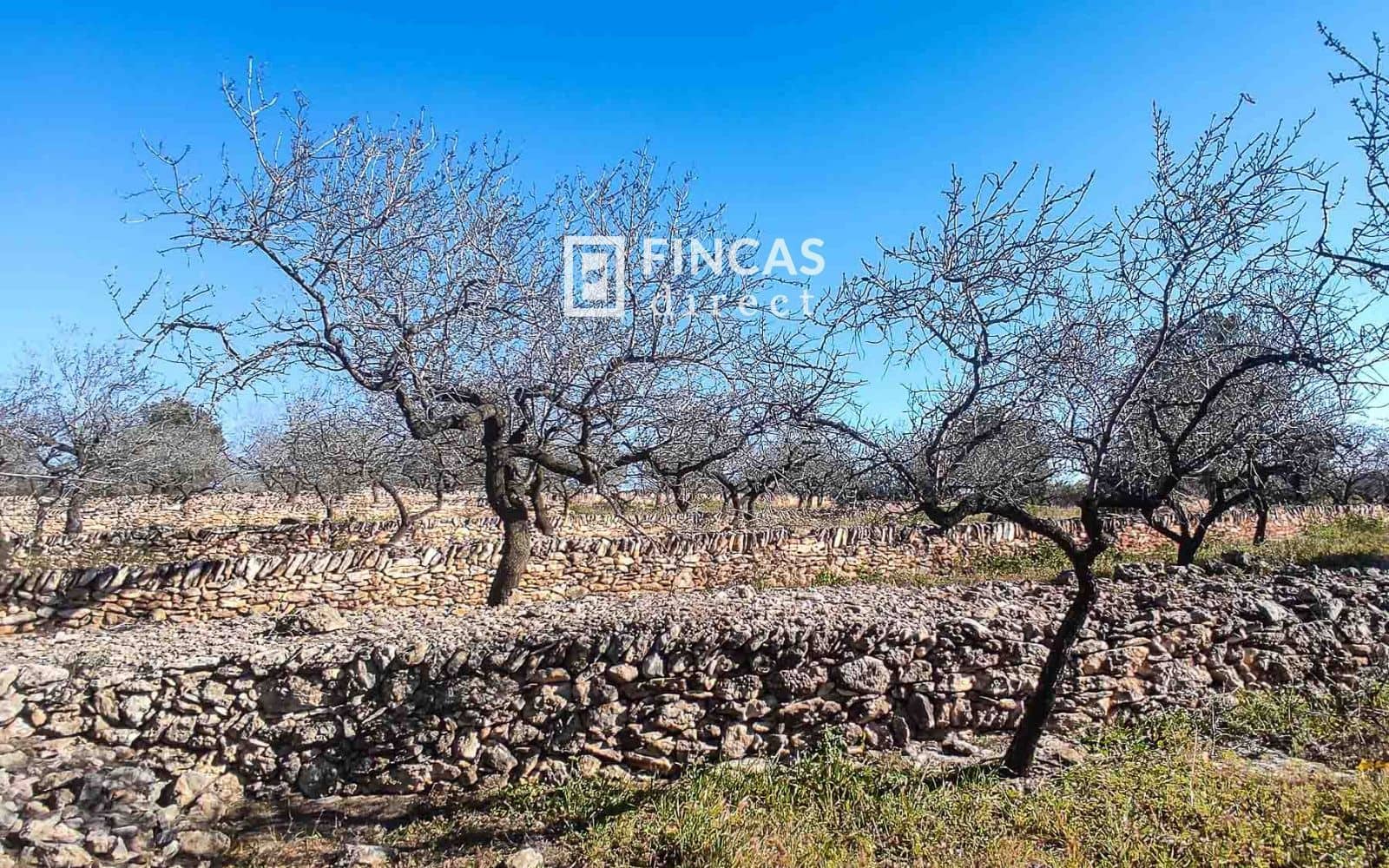 3 quarto Moradia para venda em Tortosa - 179 000 € (Ref: 9357595)