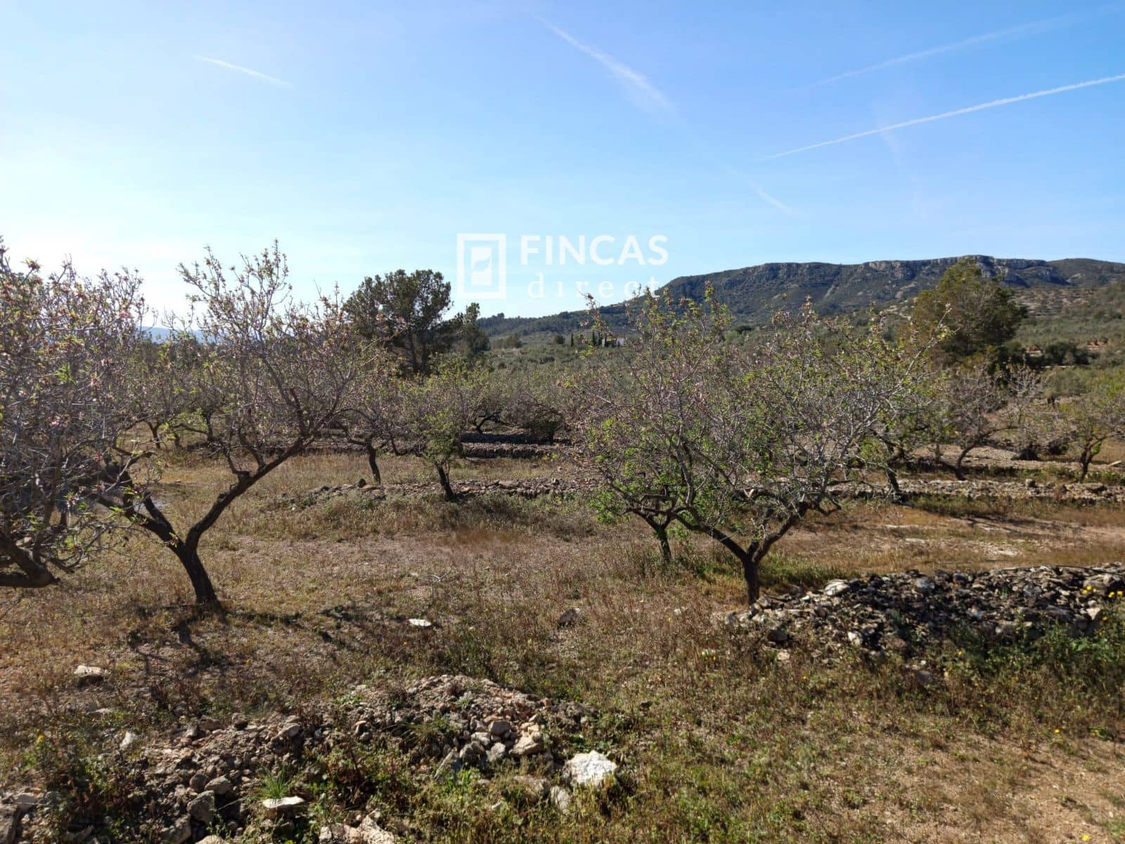 3 quarto Moradia para venda em Tortosa - 179 000 € (Ref: 9357595)