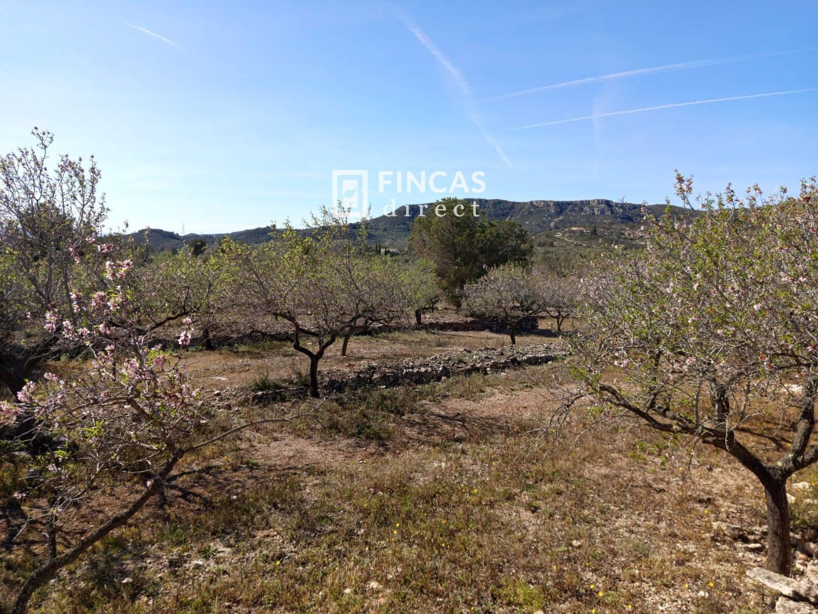 3 quarto Moradia para venda em Tortosa - 179 000 € (Ref: 9357595)