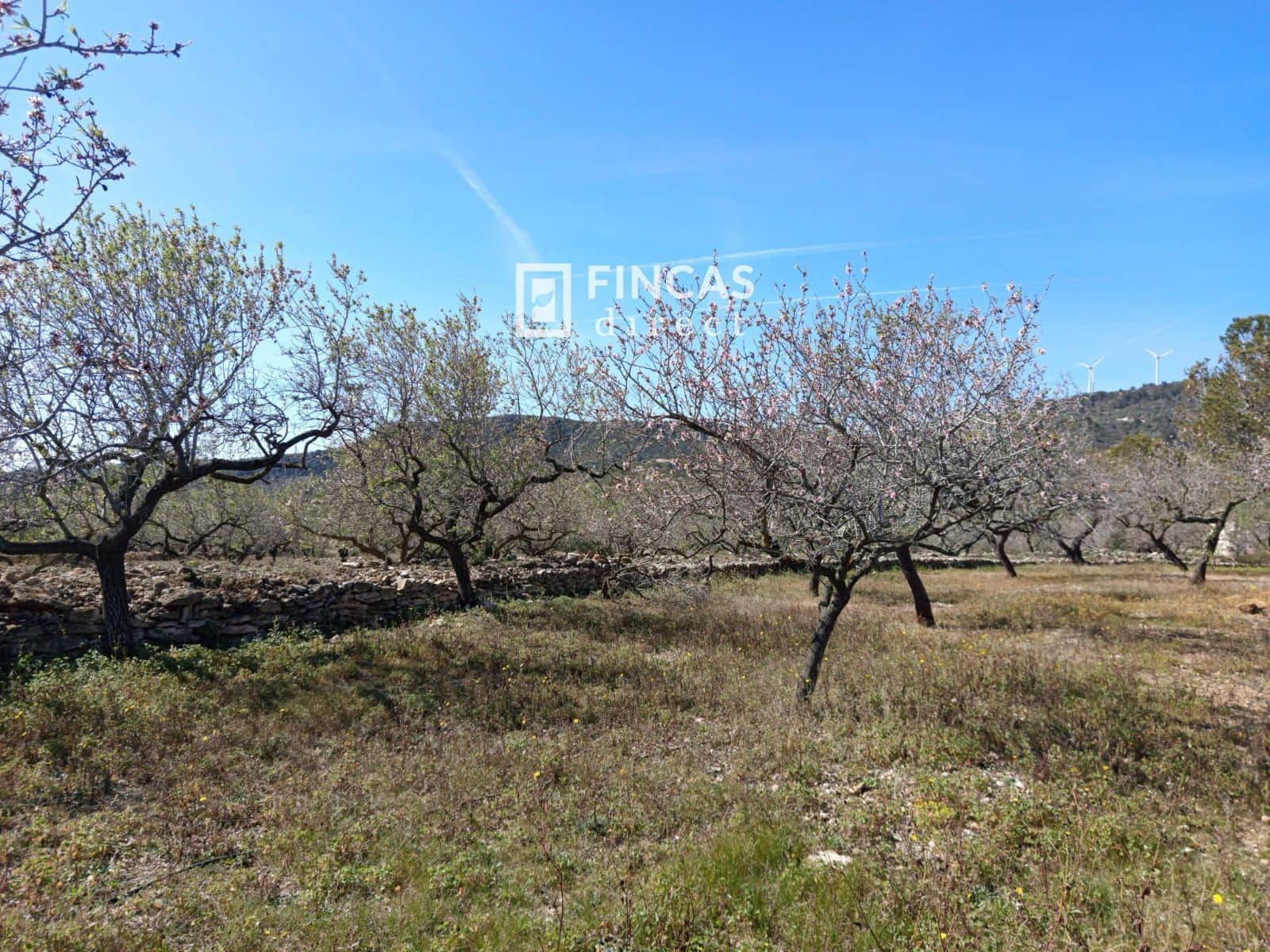 3 quarto Moradia para venda em Tortosa - 179 000 € (Ref: 9357595)