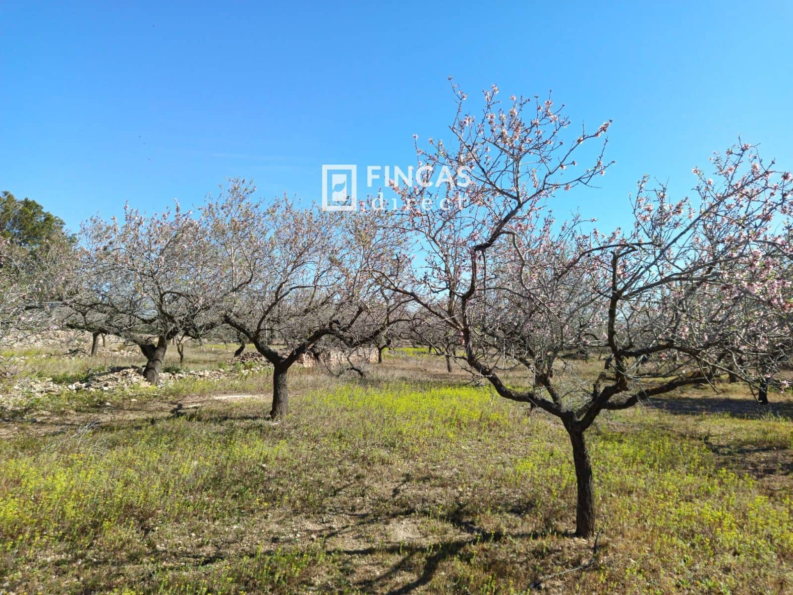 3 quarto Moradia para venda em Tortosa - 179 000 € (Ref: 9357595)