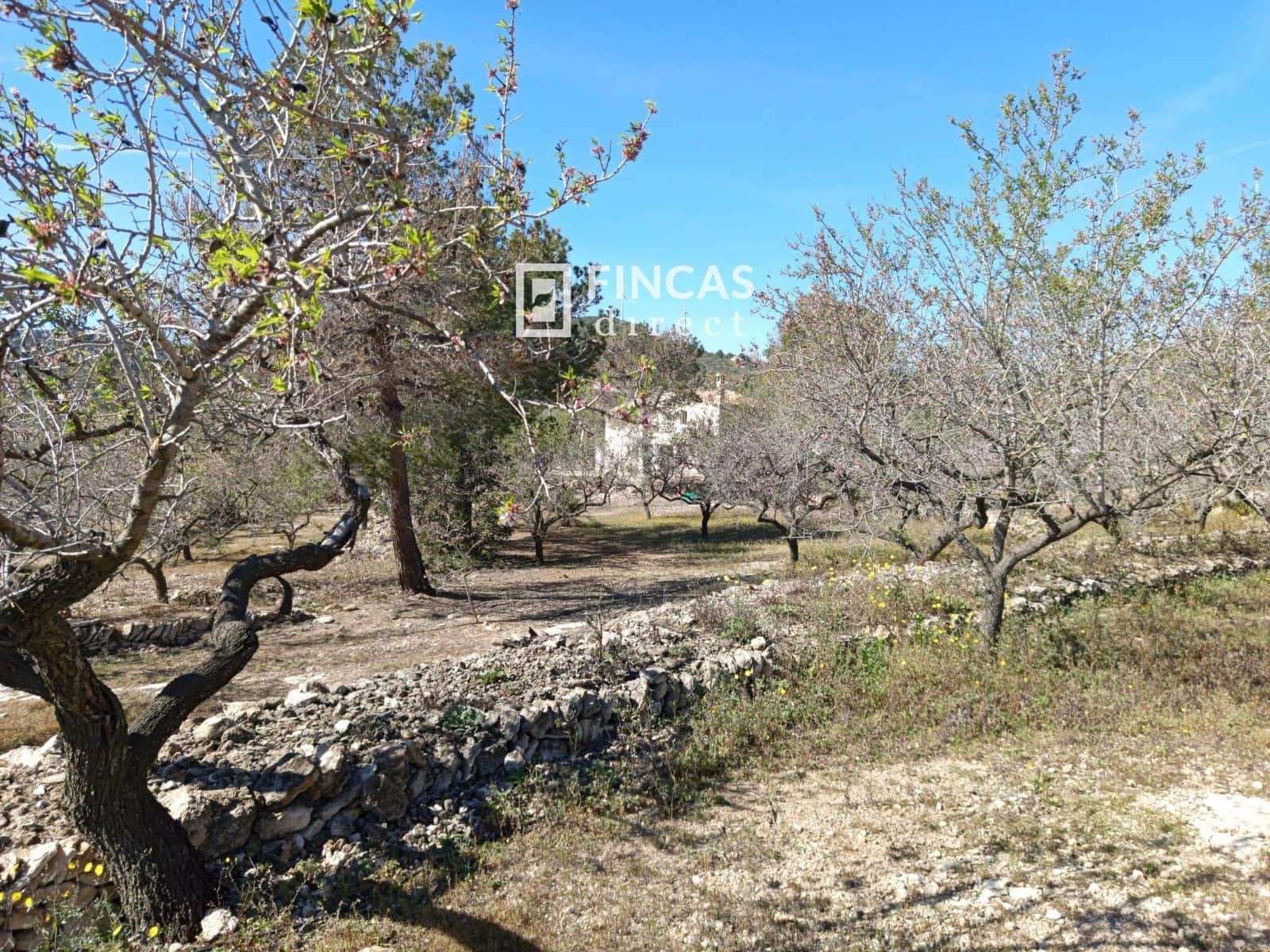 3 quarto Moradia para venda em Tortosa - 179 000 € (Ref: 9357595)