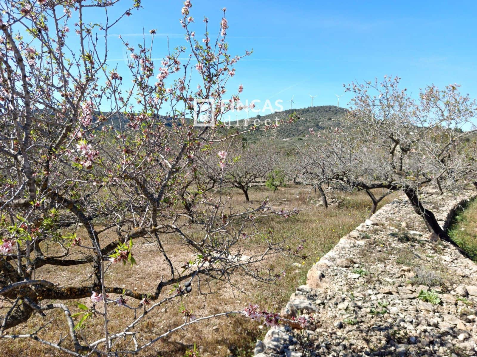 3 quarto Moradia para venda em Tortosa - 179 000 € (Ref: 9357595)