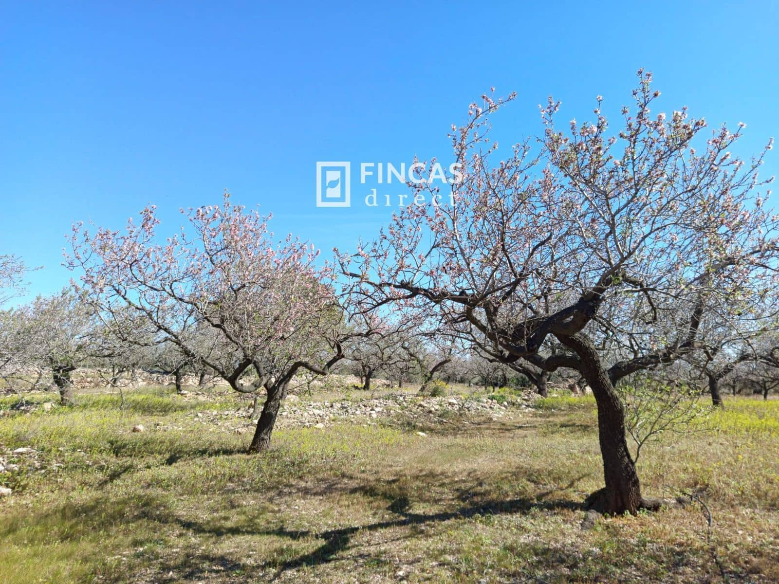 3 quarto Moradia para venda em Tortosa - 179 000 € (Ref: 9357595)