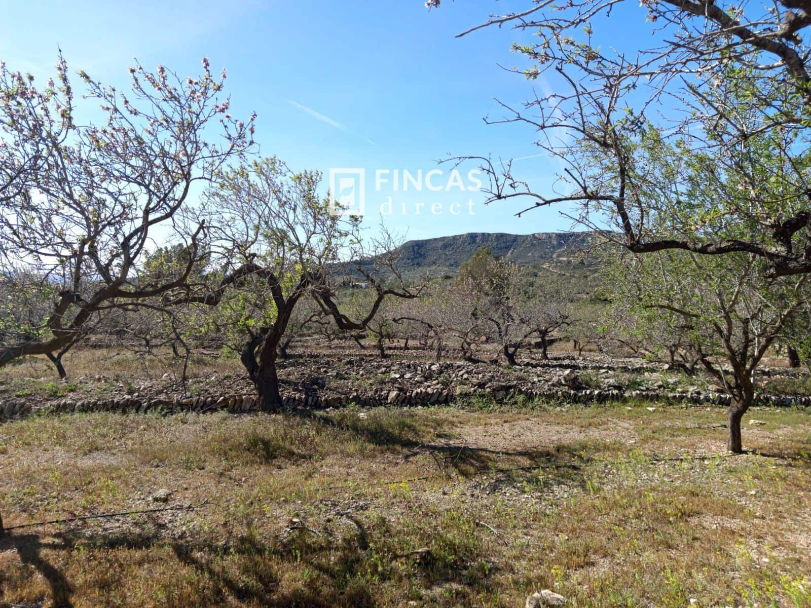 3 quarto Moradia para venda em Tortosa - 179 000 € (Ref: 9357595)