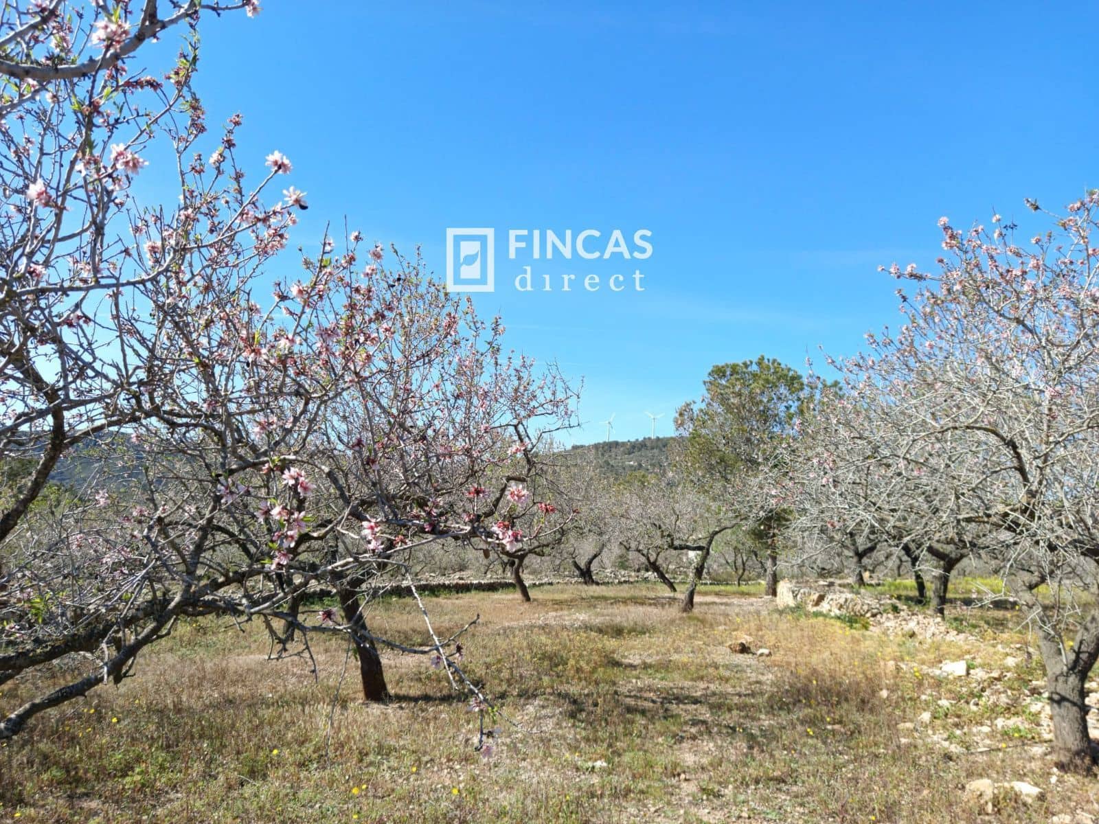 3 quarto Moradia para venda em Tortosa - 179 000 € (Ref: 9357595)