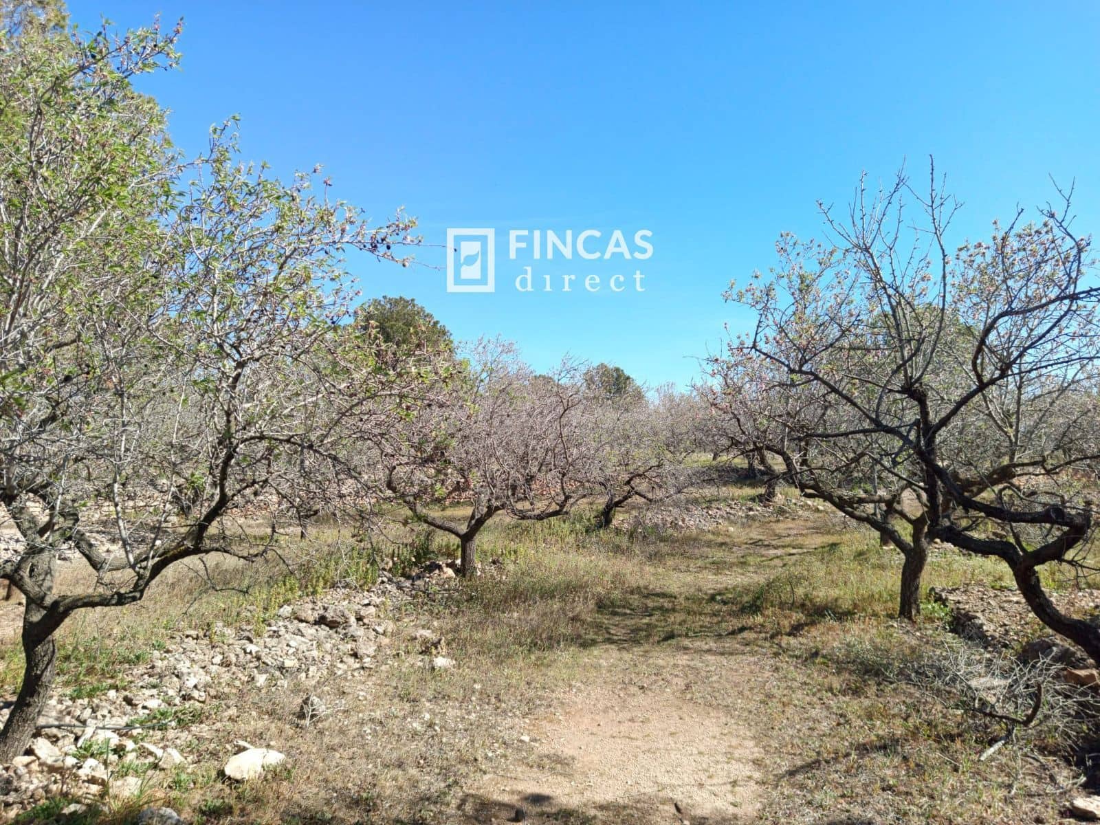 3 quarto Moradia para venda em Tortosa - 179 000 € (Ref: 9357595)