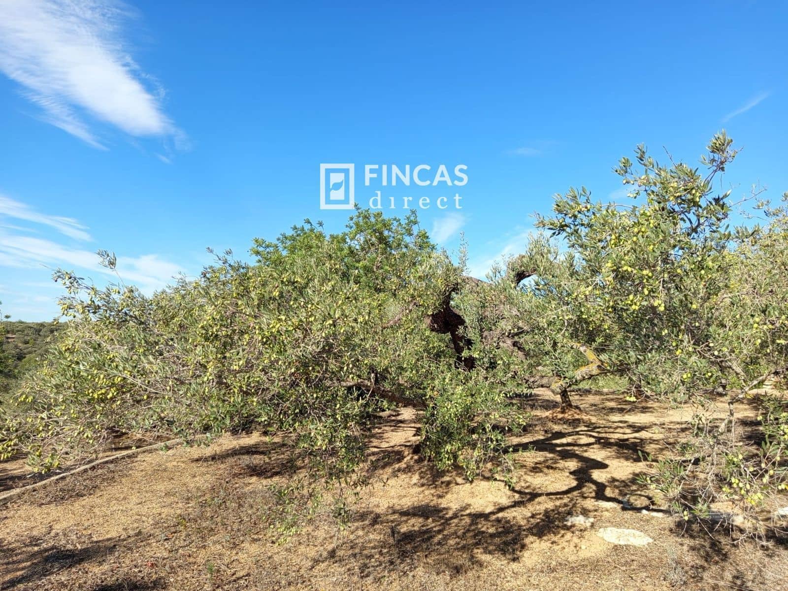 1 bedroom Finca/Country House for sale in Tortosa with garage - € 105,000 (Ref: 9519327)