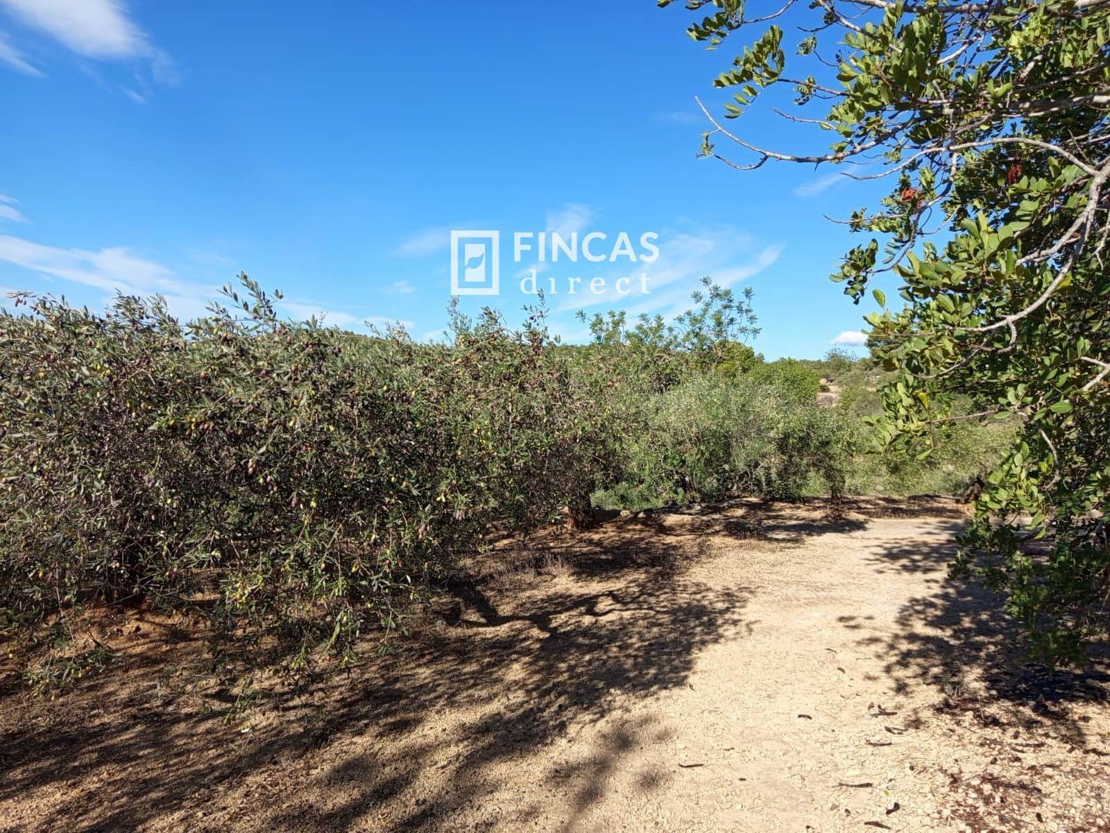 1 bedroom Finca/Country House for sale in Tortosa with garage - € 105,000 (Ref: 9519327)