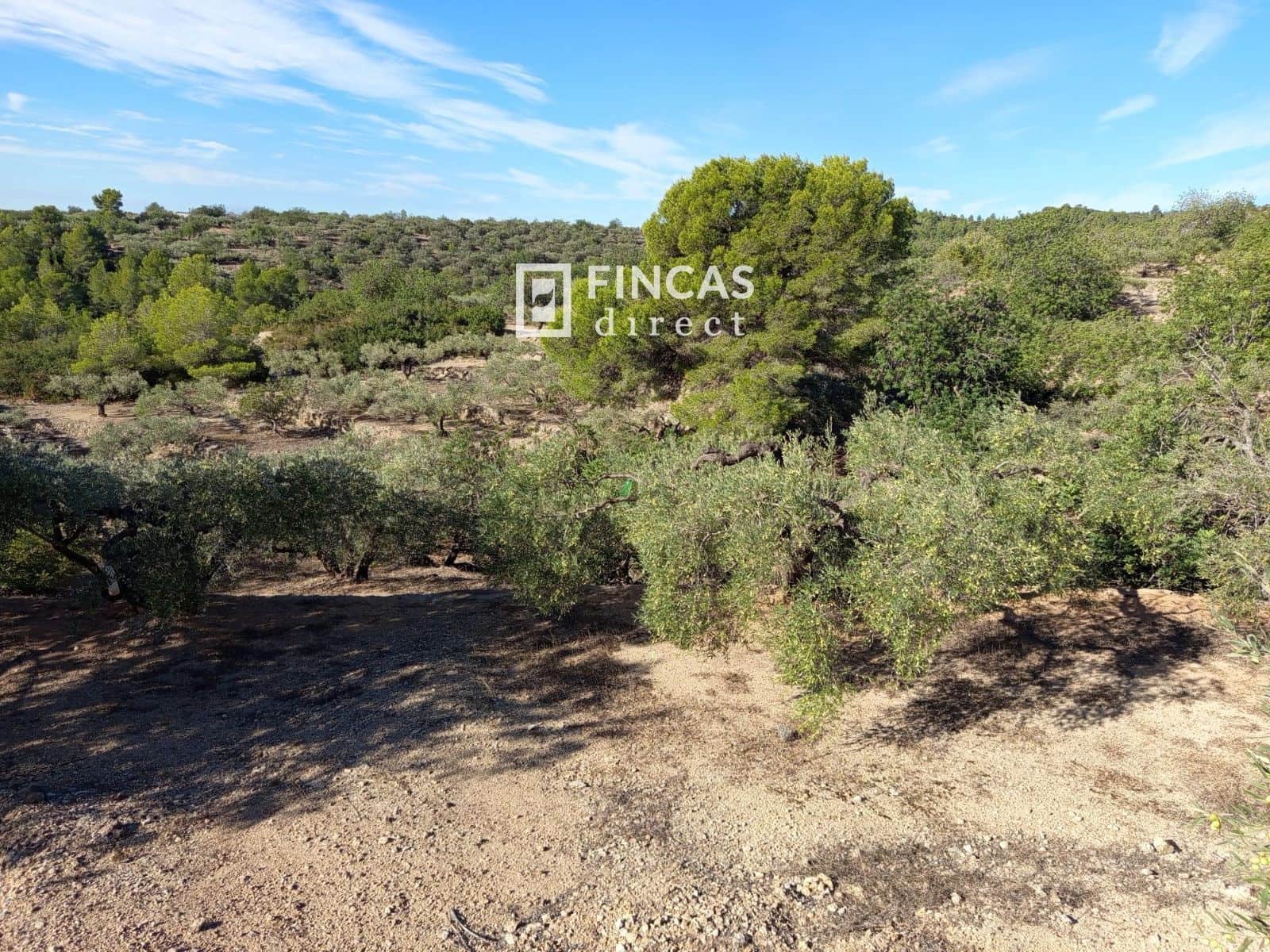 1 bedroom Finca/Country House for sale in Tortosa with garage - € 105,000 (Ref: 9519327)