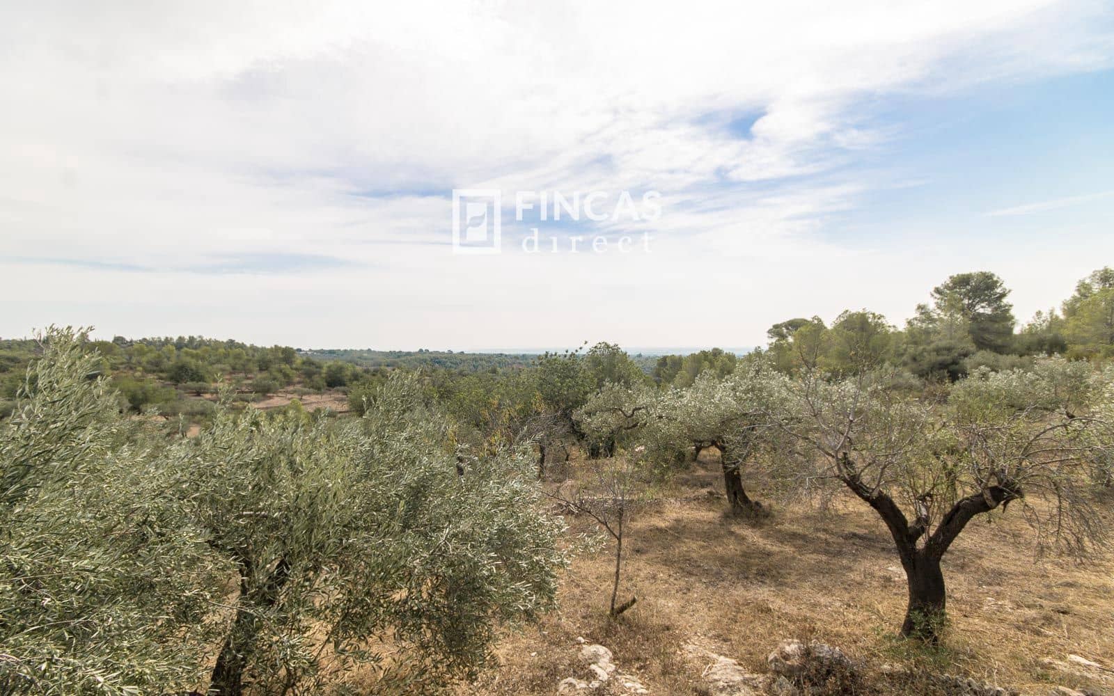 2 Zimmer Finca/Landgut zu verkaufen in Tortosa - 120.000 € (Ref: 9519328)