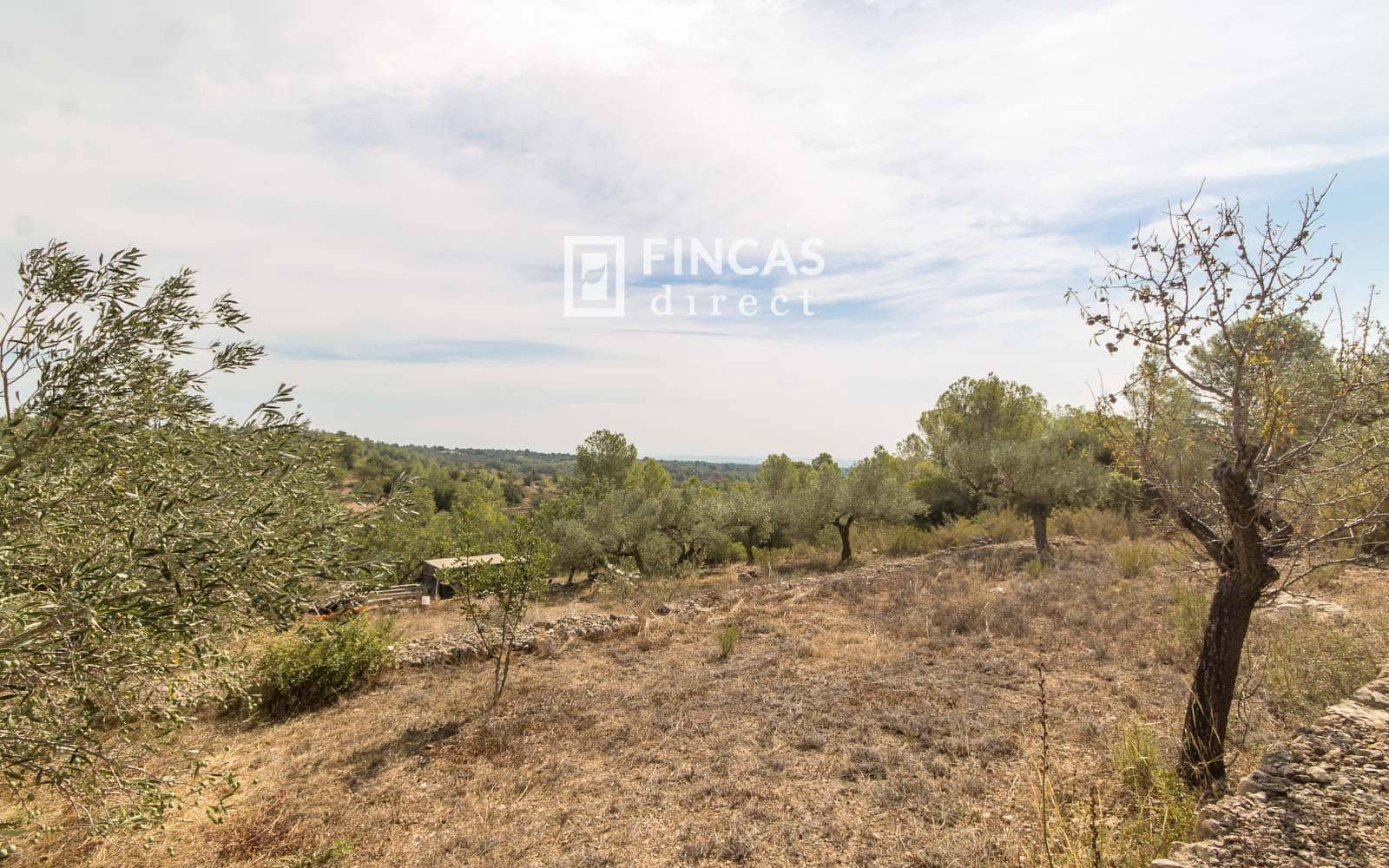 2 Zimmer Finca/Landgut zu verkaufen in Tortosa - 120.000 € (Ref: 9519328)