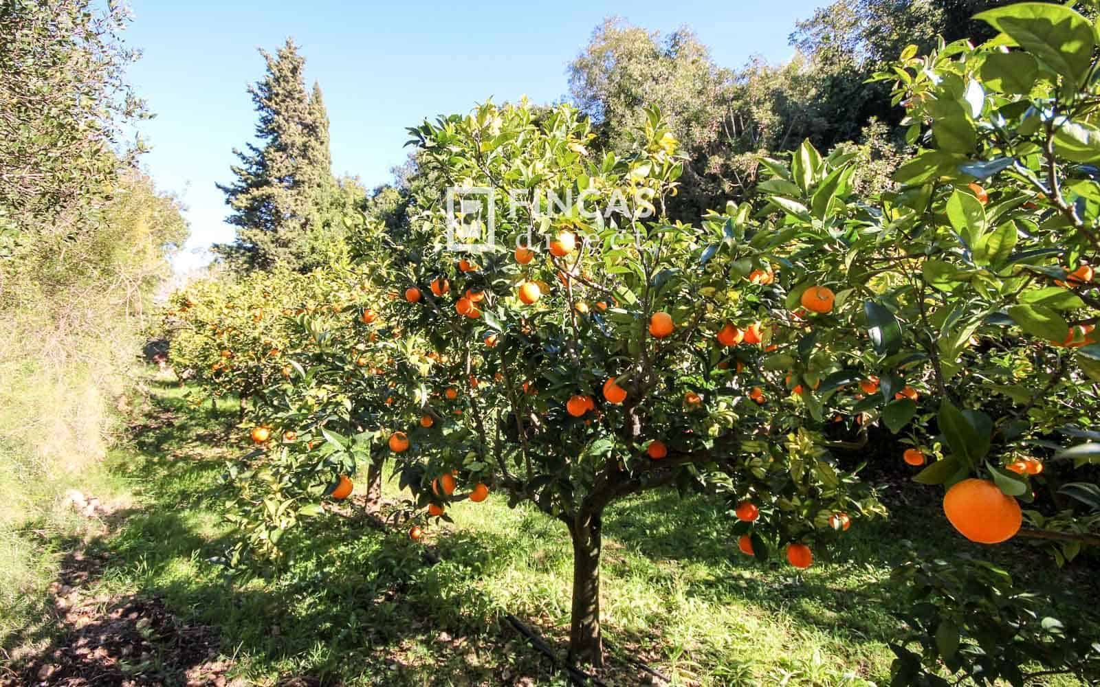 1 bedroom Finca/Country House for sale in Tortosa - € 130,000 (Ref: 9618064)