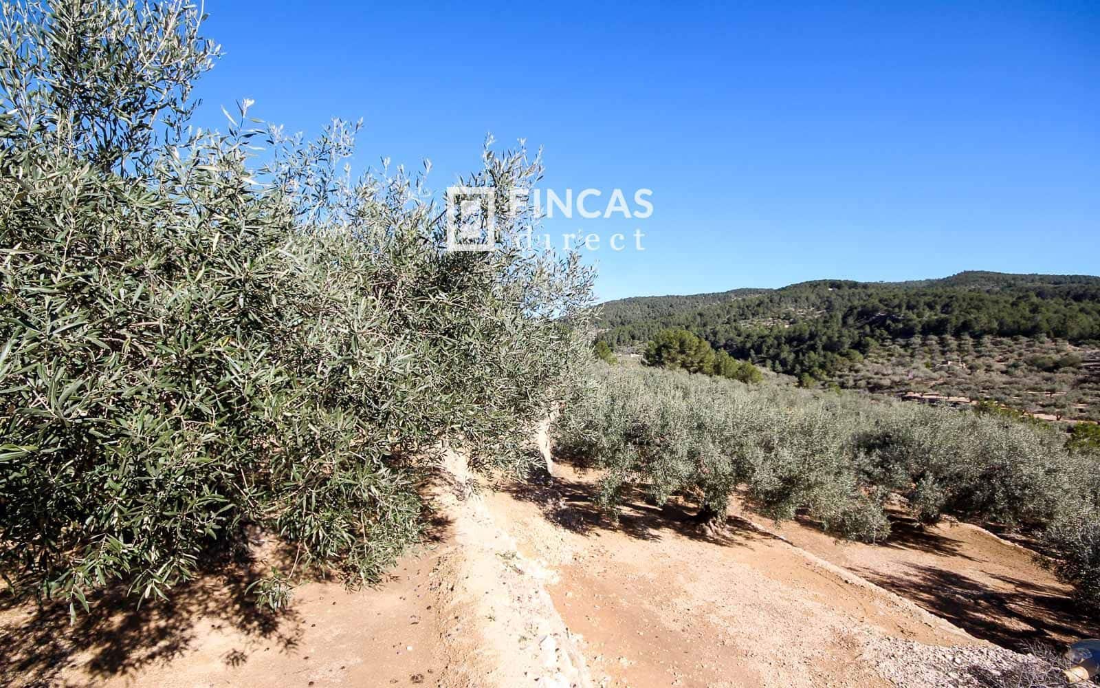 1 bedroom Finca/Country House for sale in Tortosa - € 130,000 (Ref: 9618064)