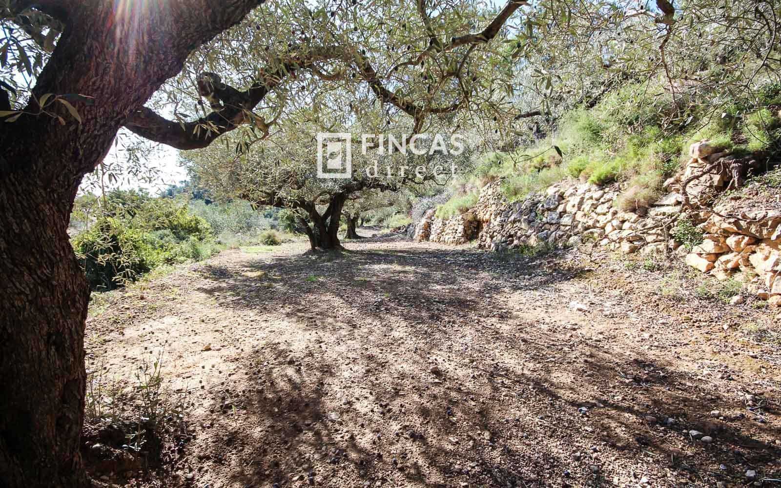 1 bedroom Finca/Country House for sale in Tortosa - € 130,000 (Ref: 9618064)