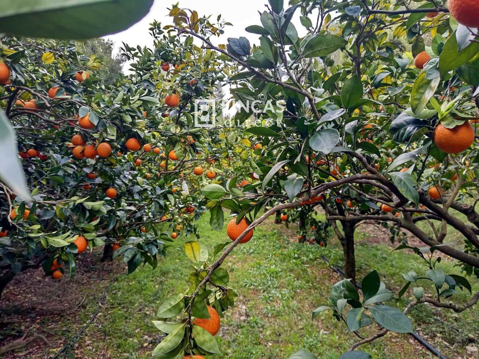 1 bedroom Finca/Country House for sale in Tortosa - € 130,000 (Ref: 9618064)