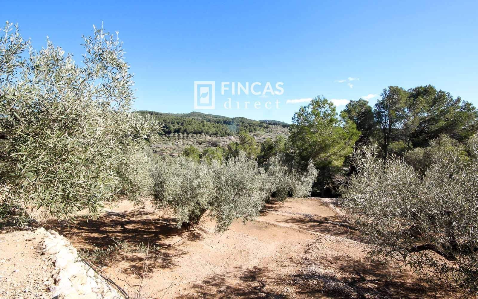 1 bedroom Finca/Country House for sale in Tortosa - € 130,000 (Ref: 9618064)