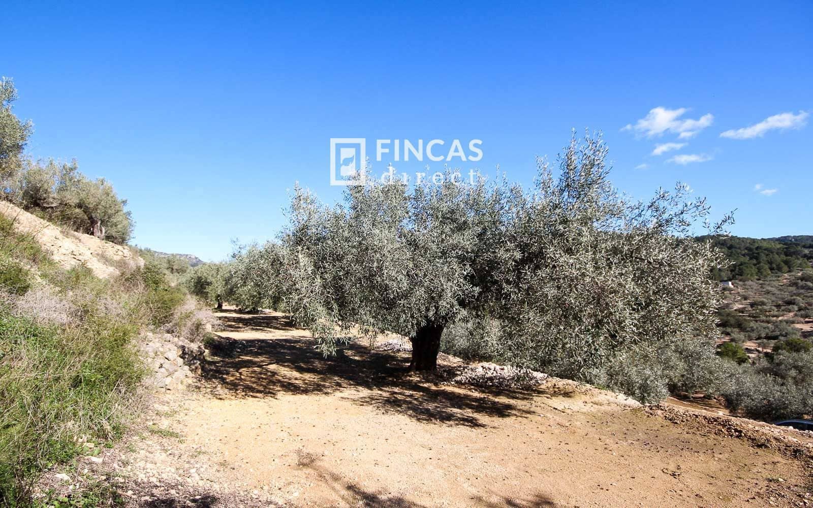 1 bedroom Finca/Country House for sale in Tortosa - € 130,000 (Ref: 9618064)