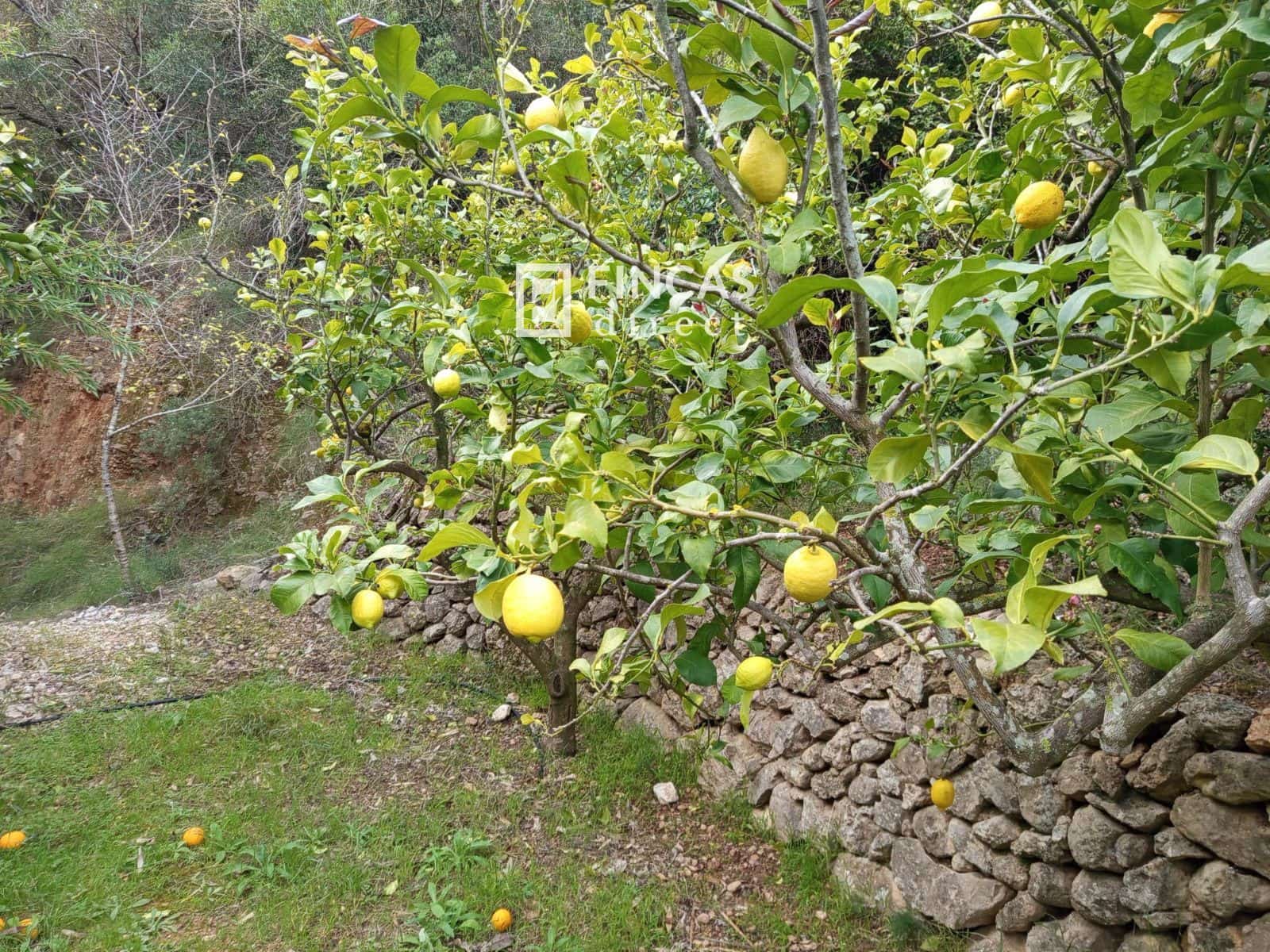 1 bedroom Finca/Country House for sale in Tortosa - € 130,000 (Ref: 9618064)