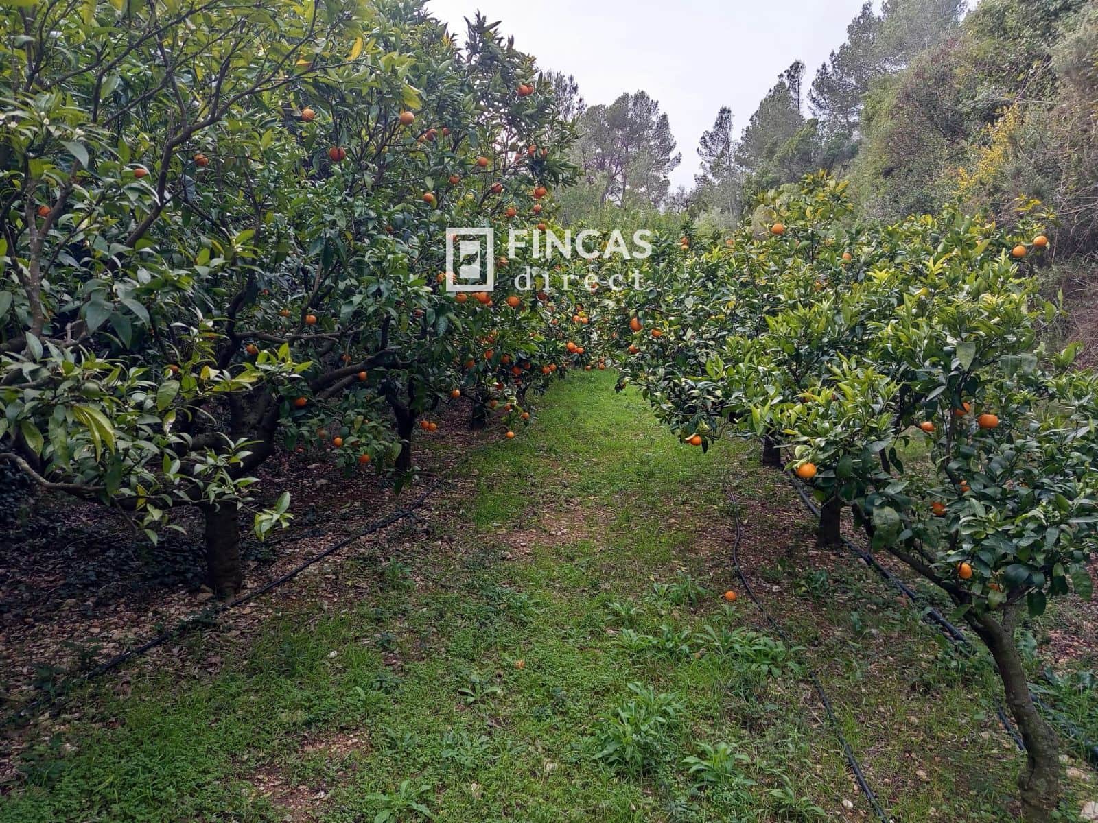 1 bedroom Finca/Country House for sale in Tortosa - € 130,000 (Ref: 9618064)