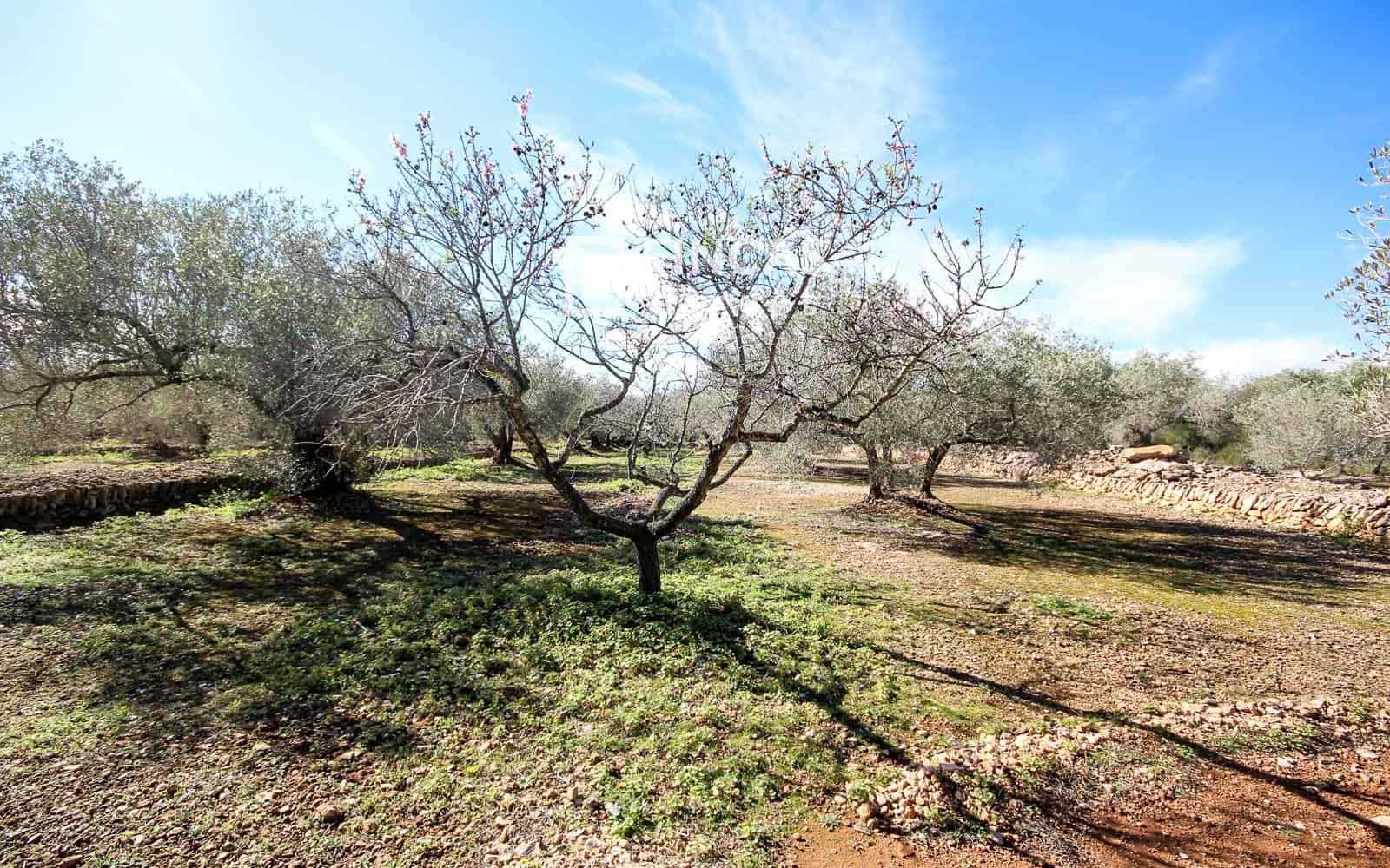 1 soveværelse Finca/Landehus til salg i Camarles - € 79.000 (Ref: 9618065)