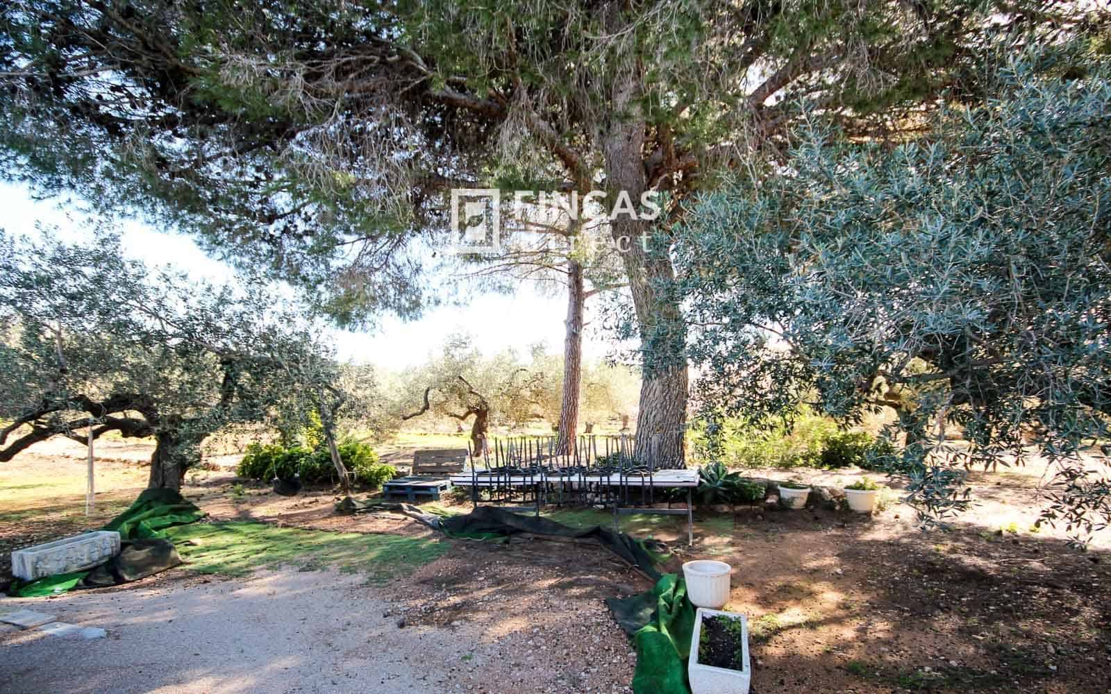 1 soveværelse Finca/Landehus til salg i Camarles - € 79.000 (Ref: 9618065)