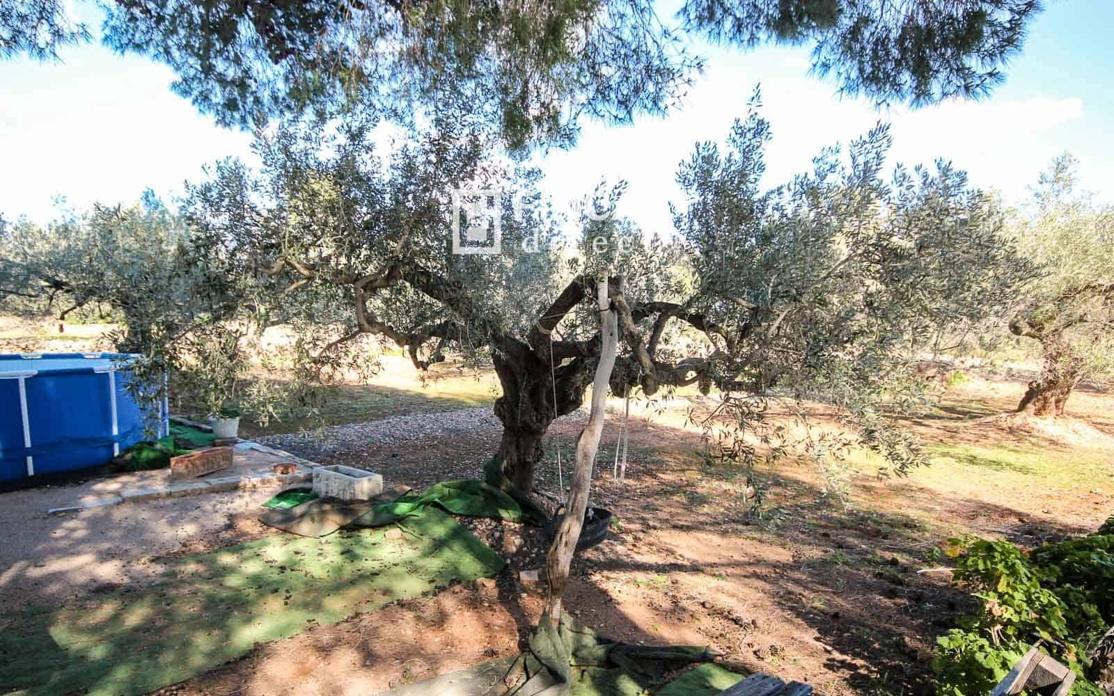 1 soveværelse Finca/Landehus til salg i Camarles - € 79.000 (Ref: 9618065)