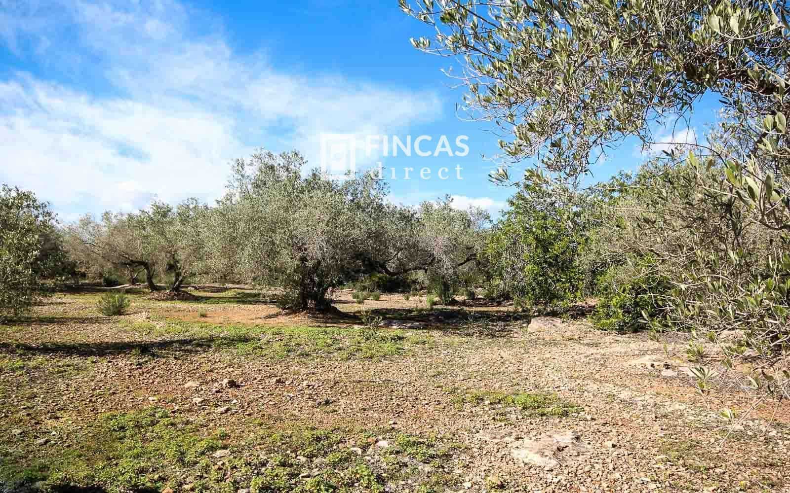 1 soveværelse Finca/Landehus til salg i Camarles - € 79.000 (Ref: 9618065)