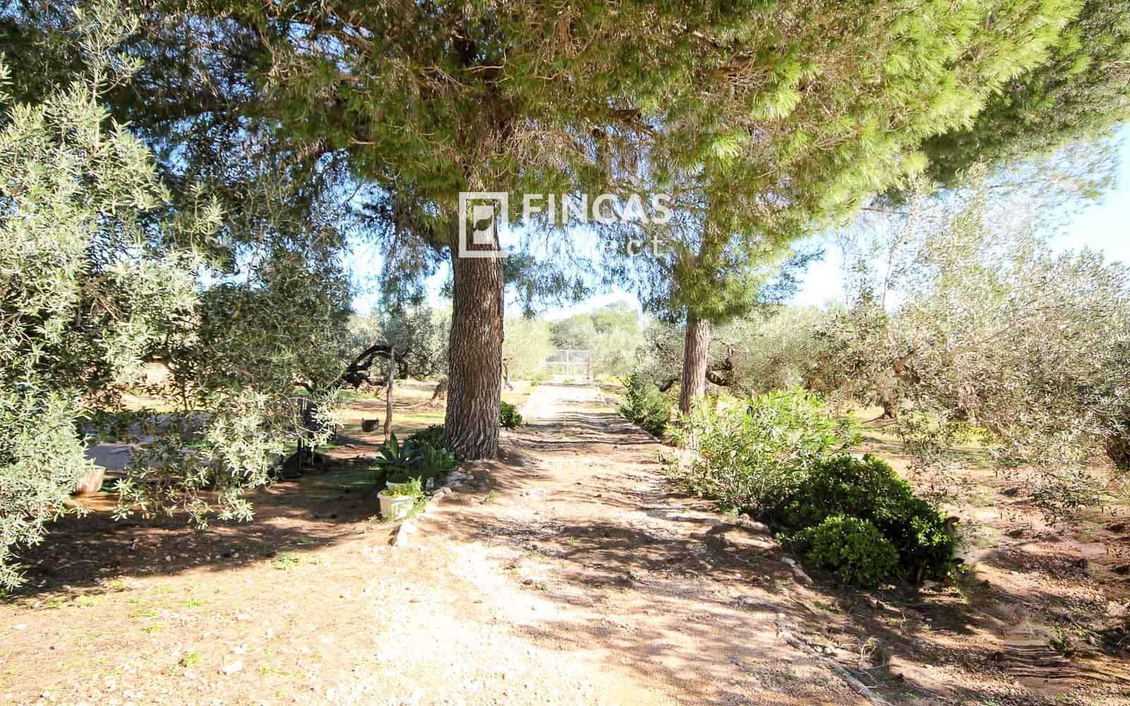 1 soveværelse Finca/Landehus til salg i Camarles - € 79.000 (Ref: 9618065)