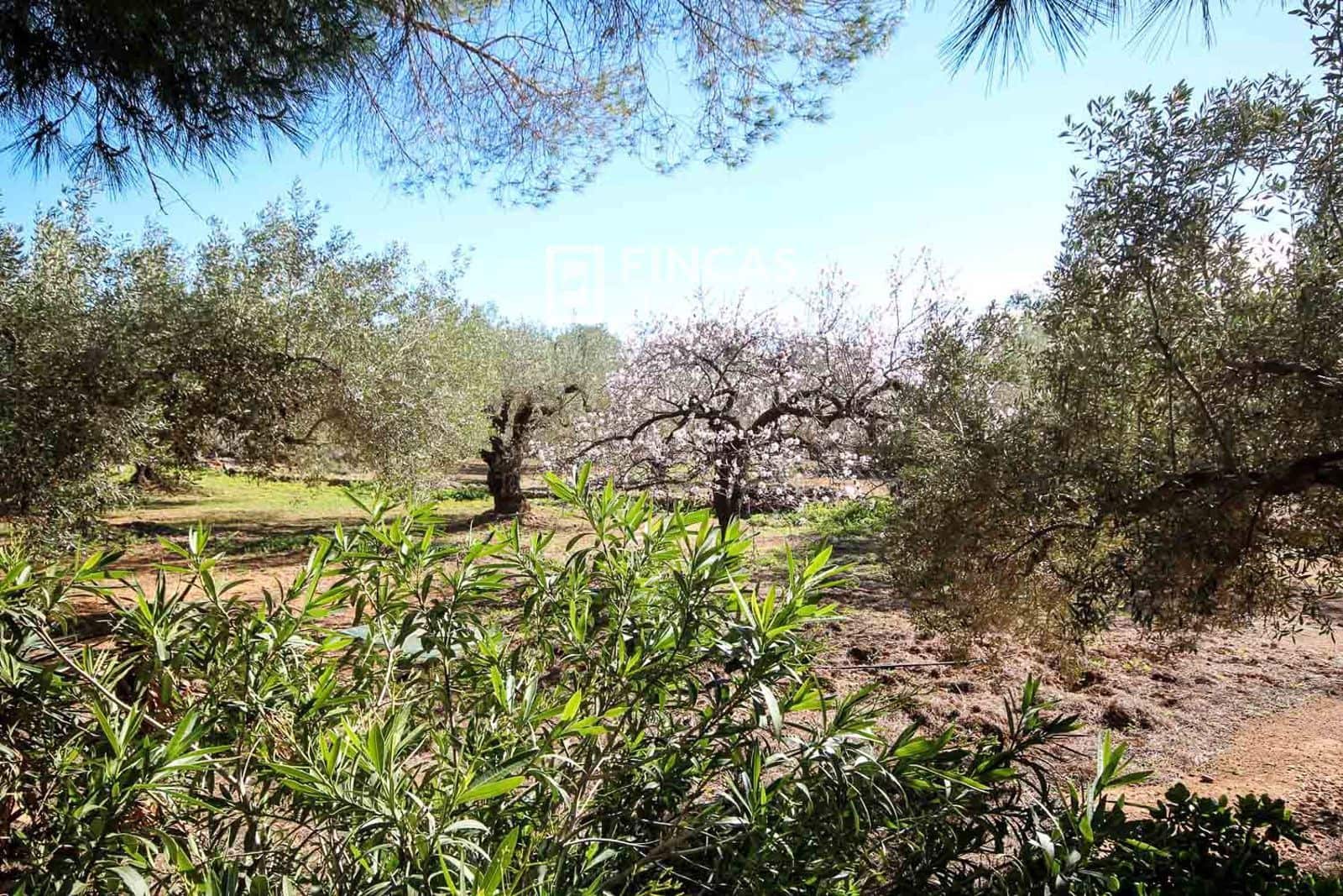 1 soveværelse Finca/Landehus til salg i Camarles - € 79.000 (Ref: 9618065)