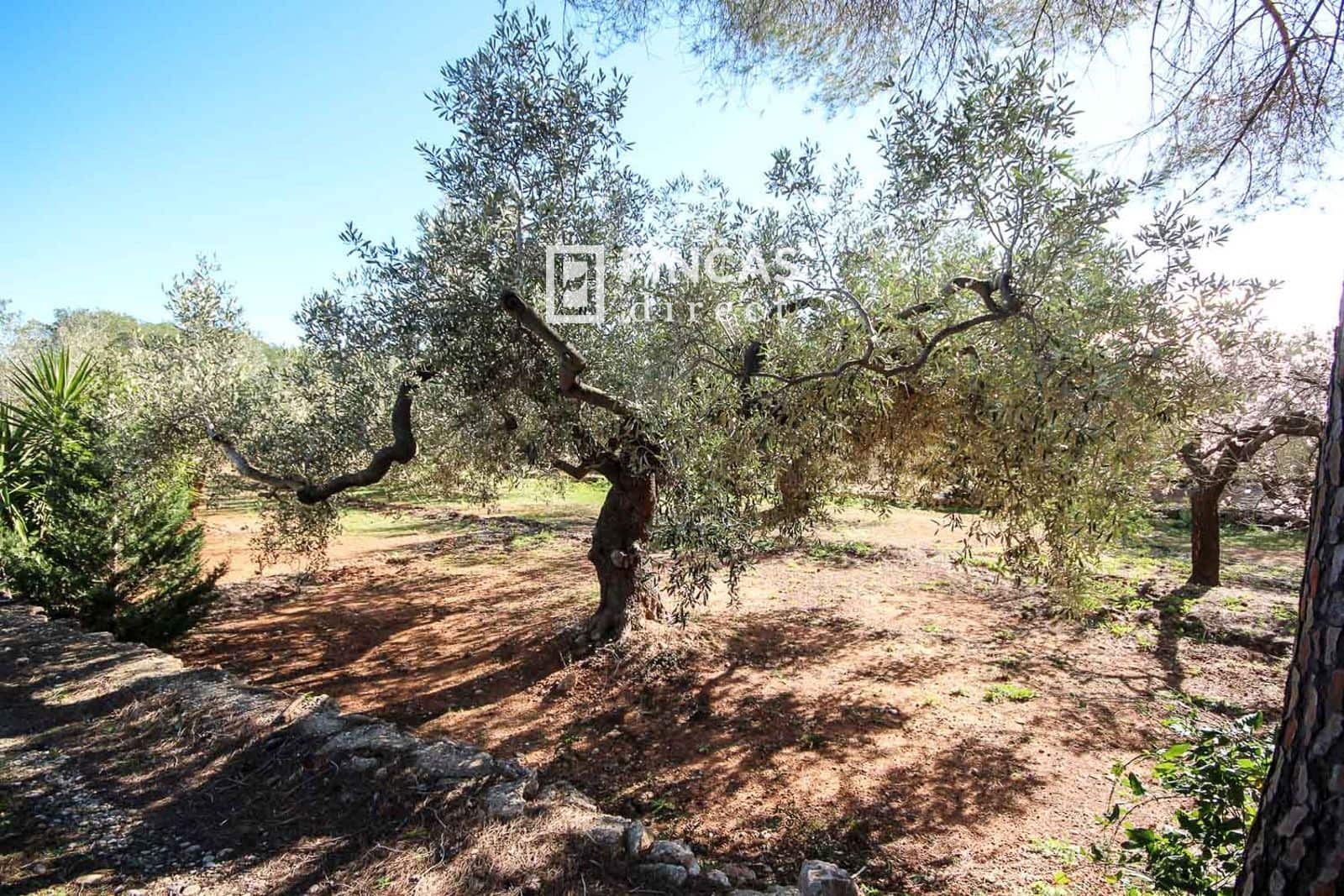 1 soveværelse Finca/Landehus til salg i Camarles - € 79.000 (Ref: 9618065)