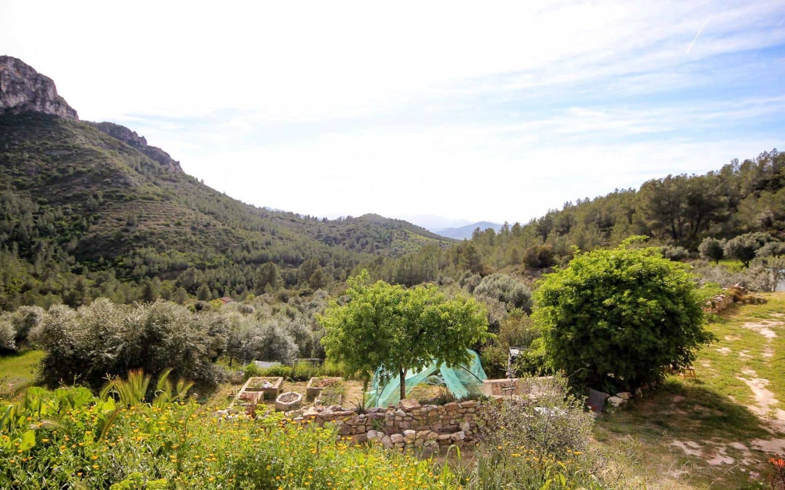 3 slaapkamer Villa te koop in Tivissa met zwembad - € 265.000 (Ref: 9736106)