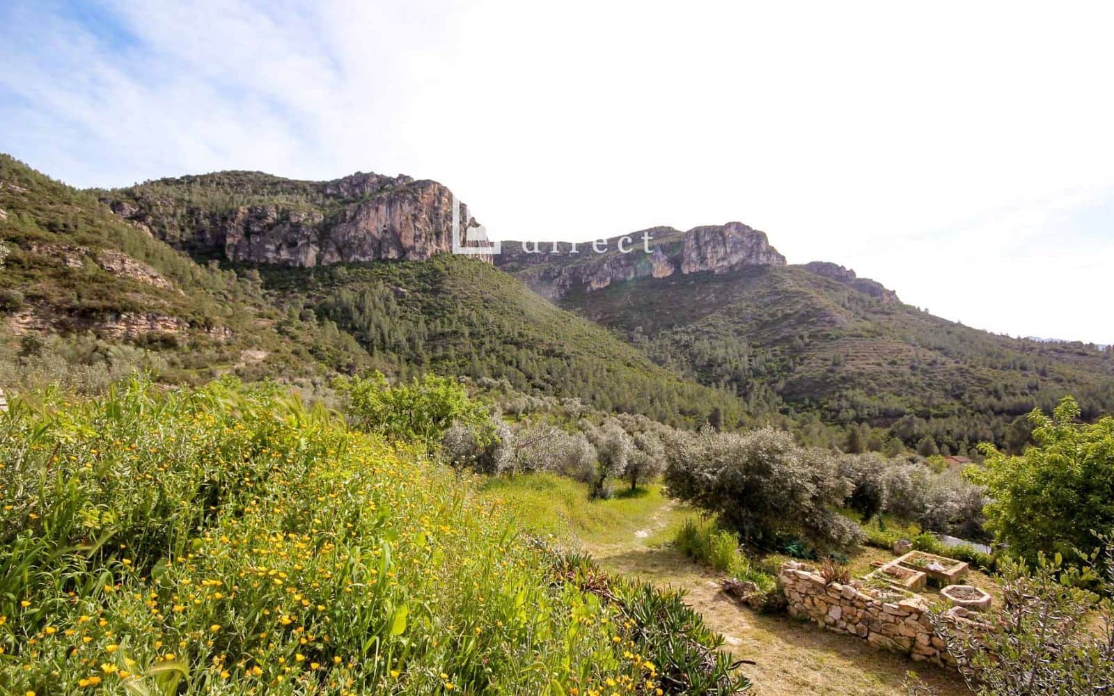 3 slaapkamer Villa te koop in Tivissa met zwembad - € 265.000 (Ref: 9736106)