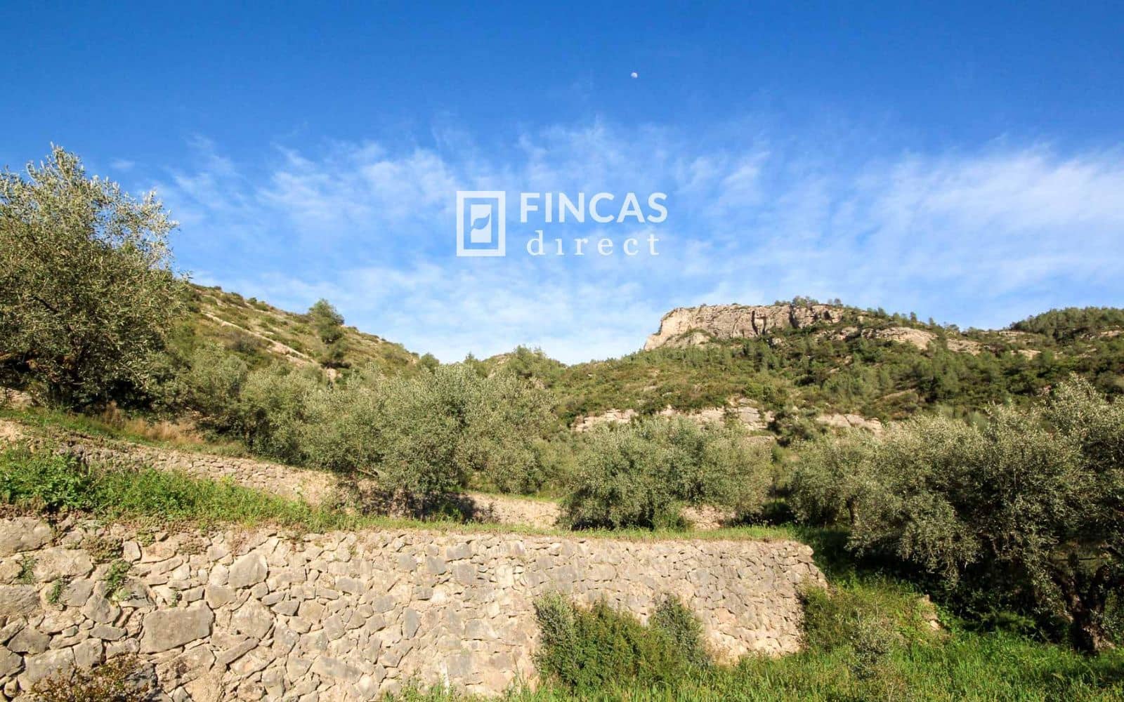 3 slaapkamer Villa te koop in Tivissa met zwembad - € 265.000 (Ref: 9736106)