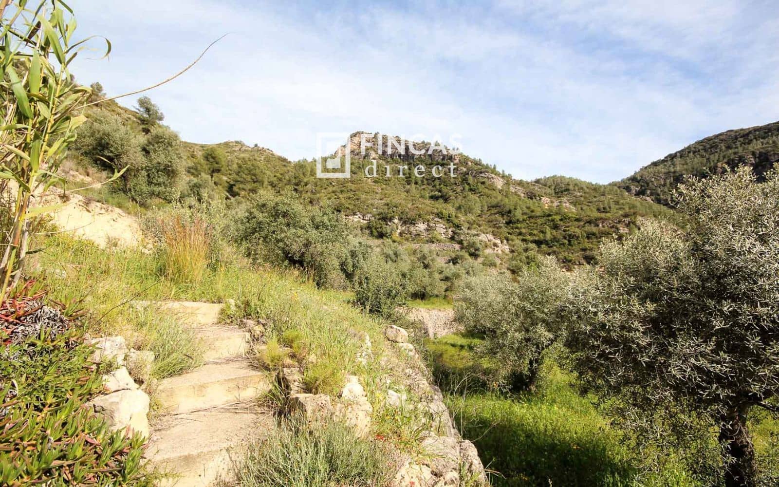 3 slaapkamer Villa te koop in Tivissa met zwembad - € 265.000 (Ref: 9736106)