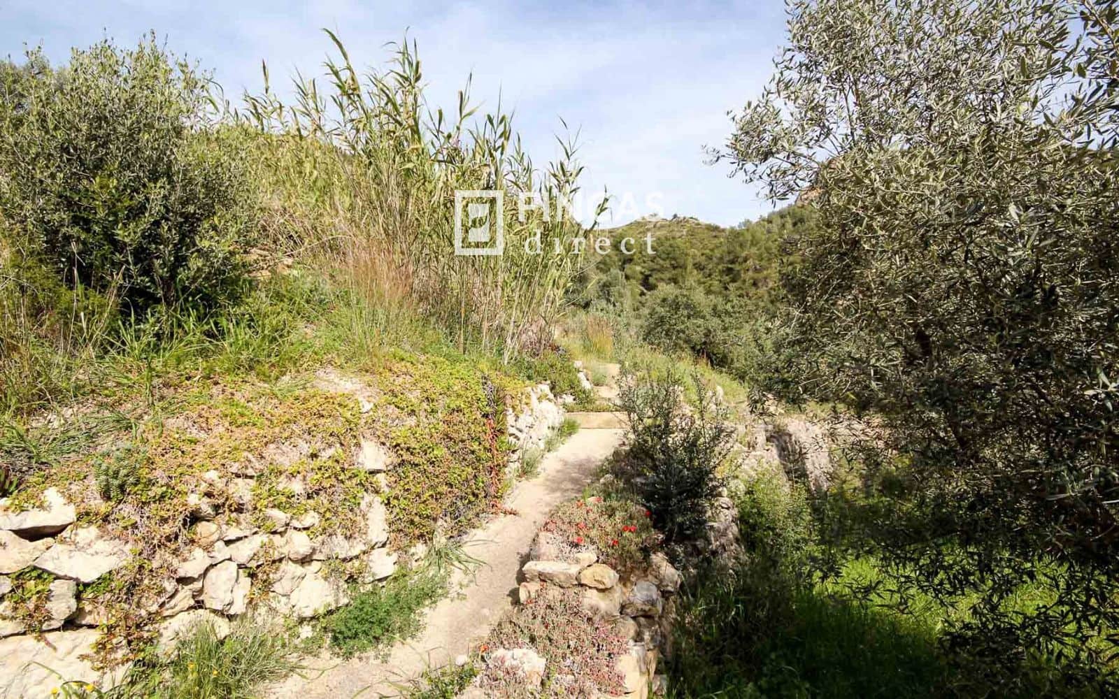 3 slaapkamer Villa te koop in Tivissa met zwembad - € 265.000 (Ref: 9736106)